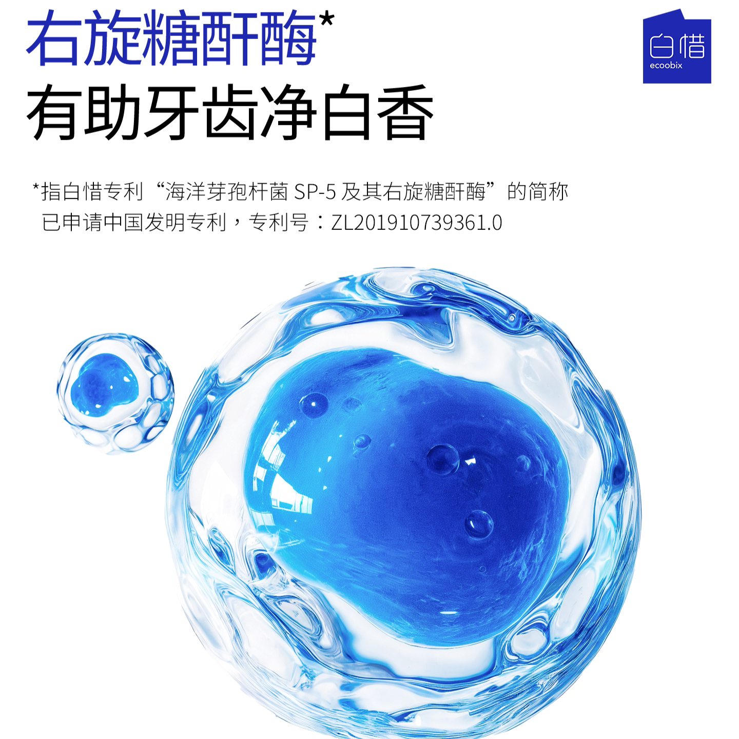 ECOOBIX Amino Acid Anti-Sugar Toothpaste 100g 白惜氨基酸抗糖牙膏