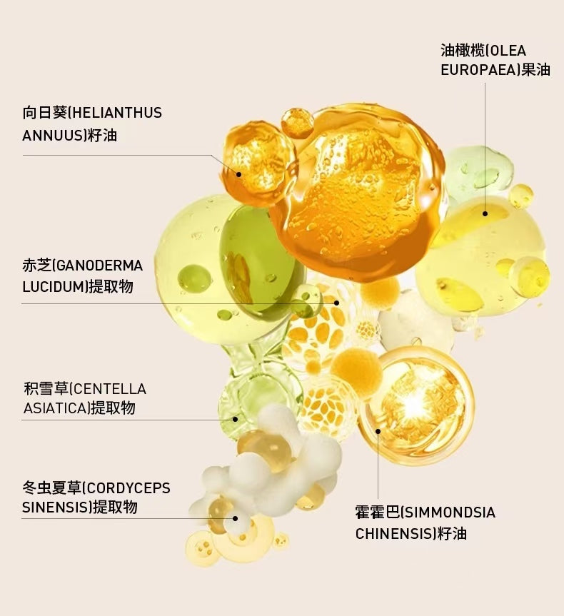 AKF Oil Control Pressed Powder 8g AKF清透控油蜜粉饼