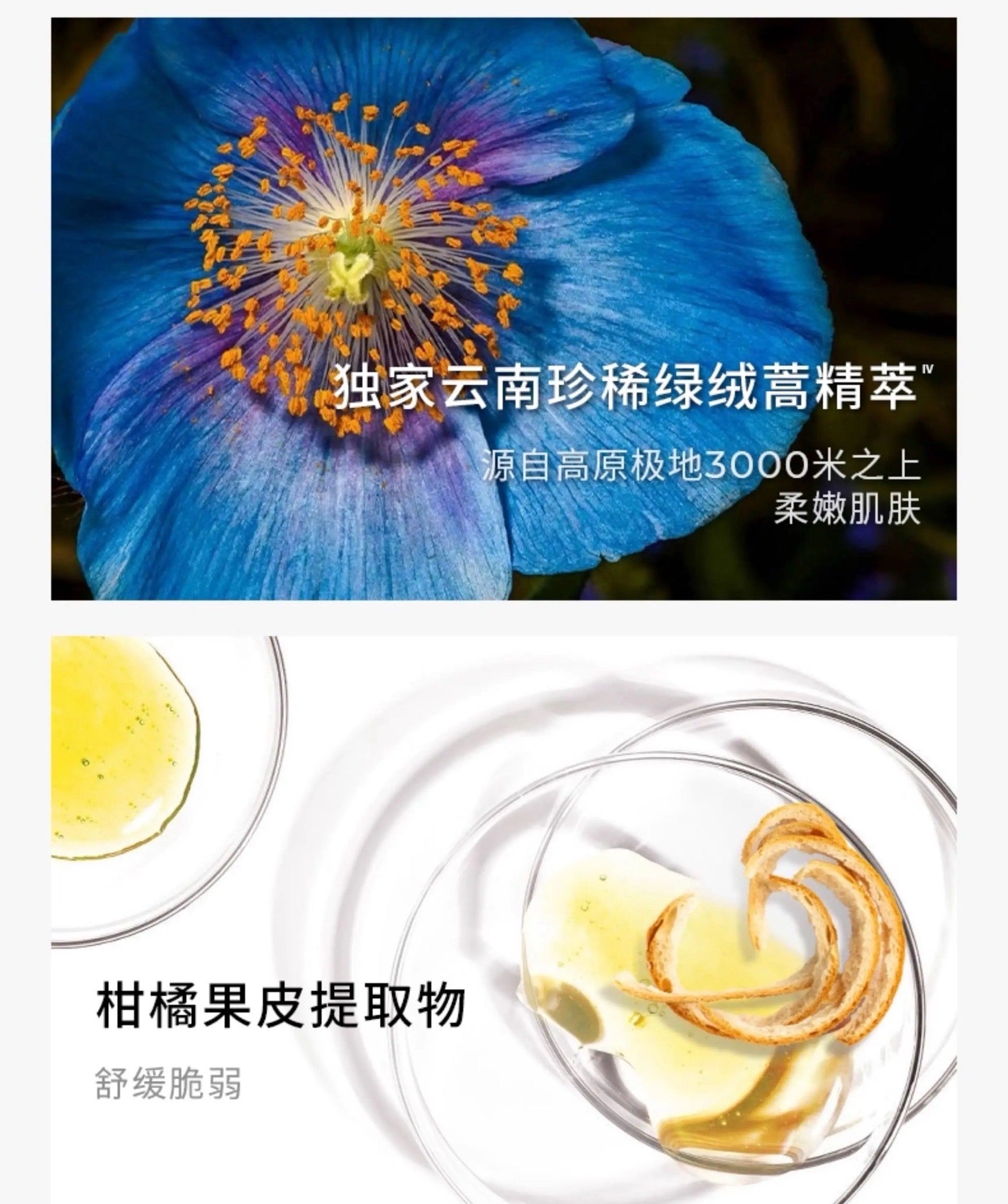 AOXMED Soothing Clear Purifying Cleanser 100g 瑷科缦舒润净透洁面膏