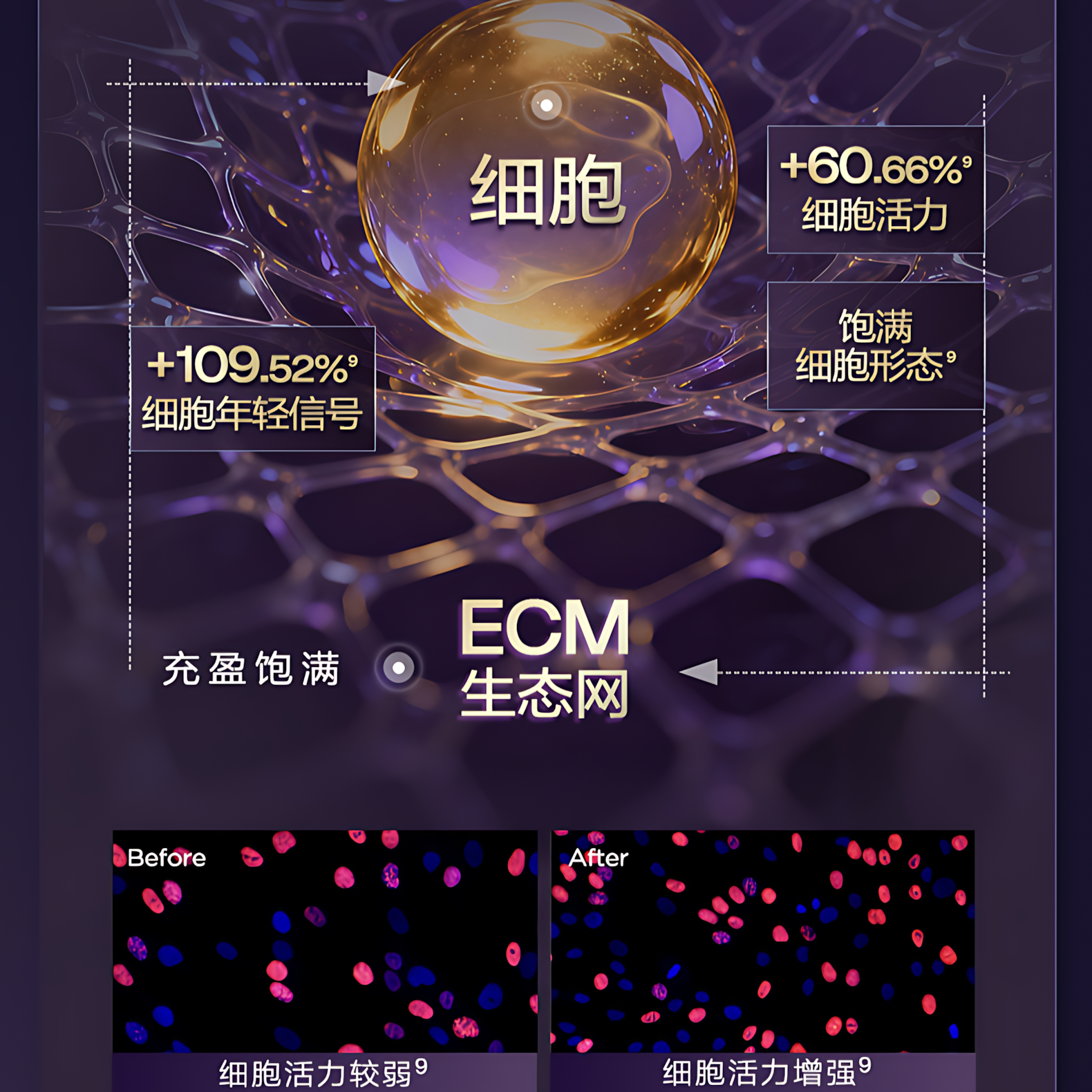 BIOHYALUX Elasticity Filler Anti-Wrinkle Single Use Essence 2.0 1.3ml*30pcs/box 润百颜紧致充盈淡纹次抛精华液2.0