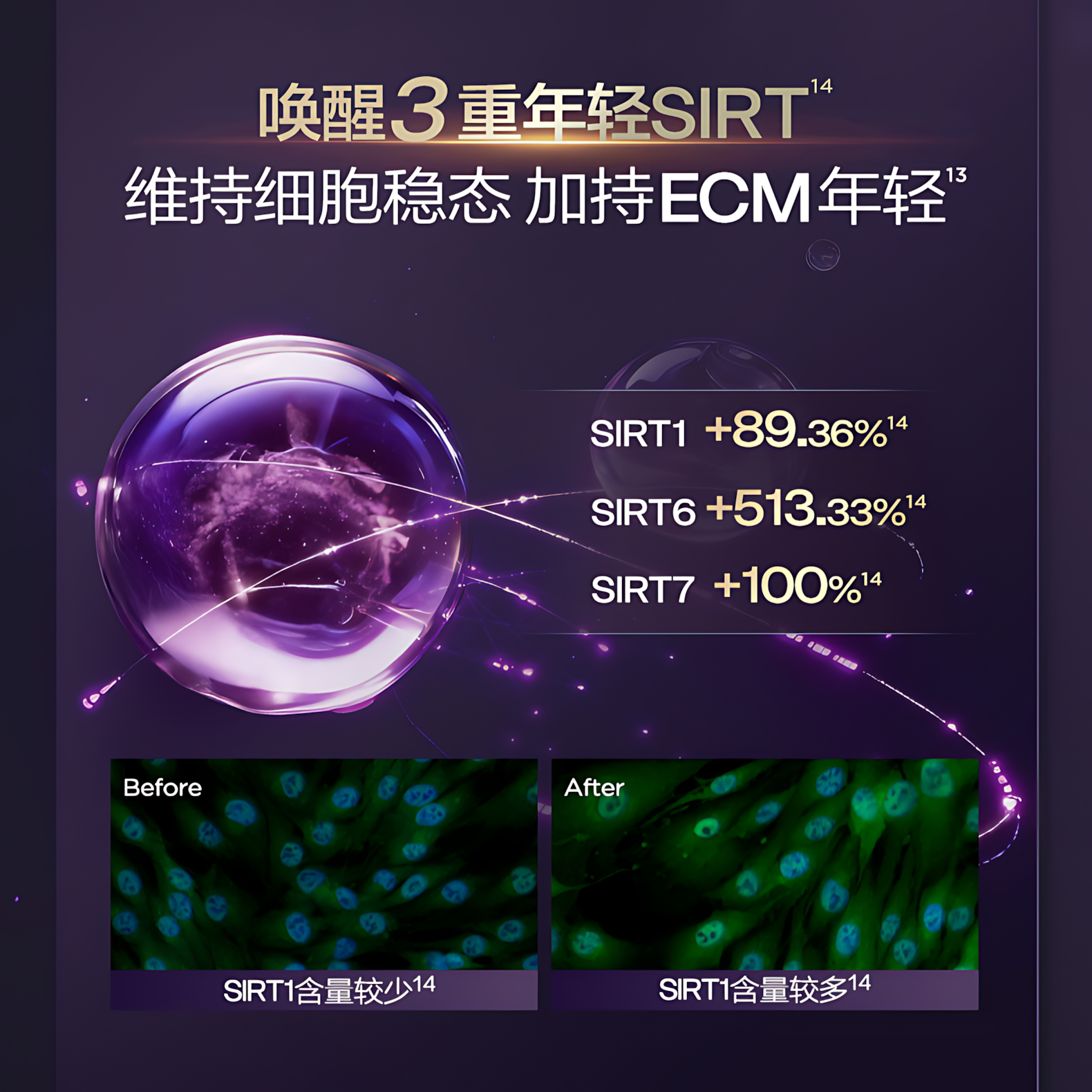 BIOHYALUX Elasticity Filler Anti-Wrinkle Single Use Essence 2.0 1.3ml*30pcs/box 润百颜紧致充盈淡纹次抛精华液2.0
