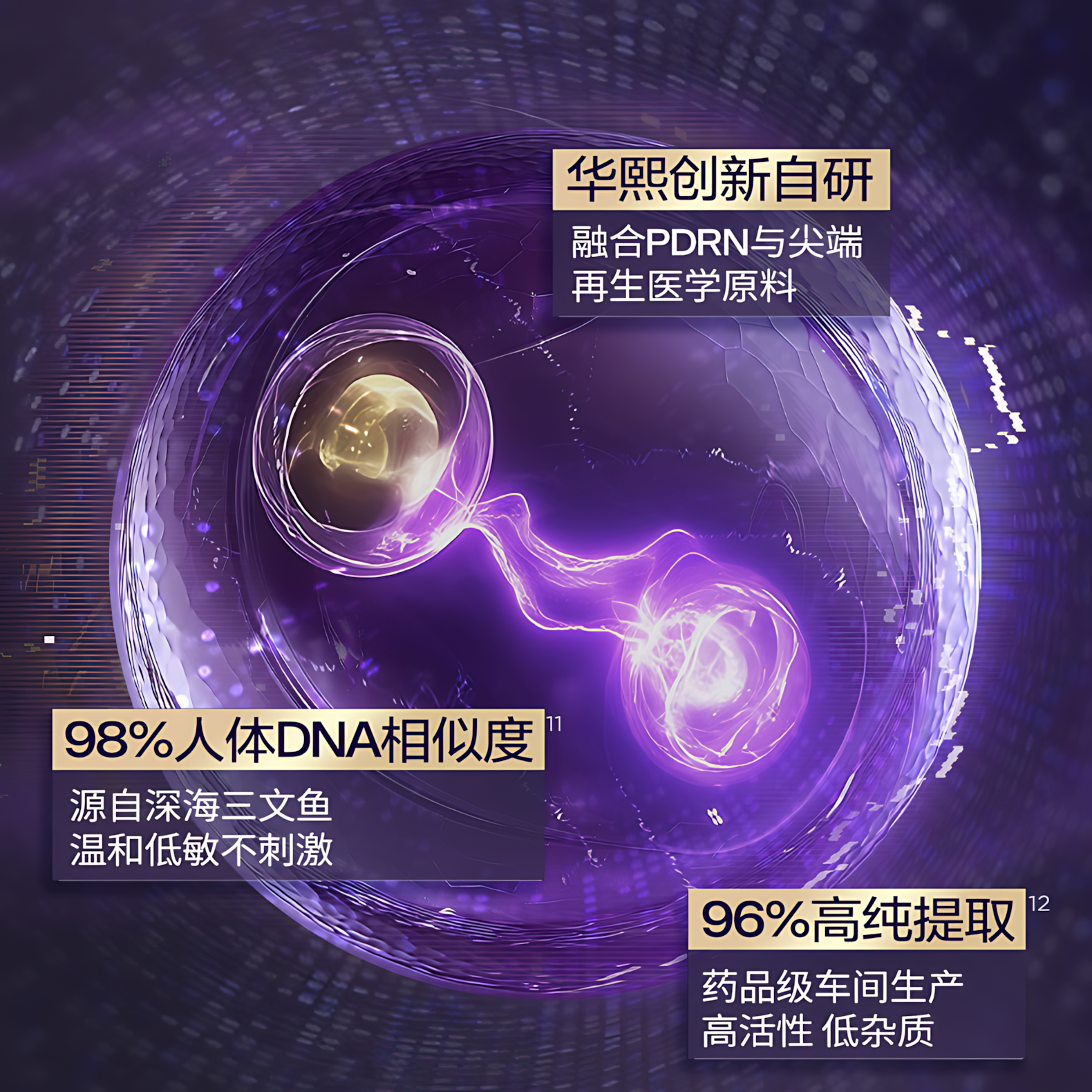 BIOHYALUX Elasticity Filler Anti-Wrinkle Single Use Essence 2.0 1.3ml*30pcs/box 润百颜紧致充盈淡纹次抛精华液2.0