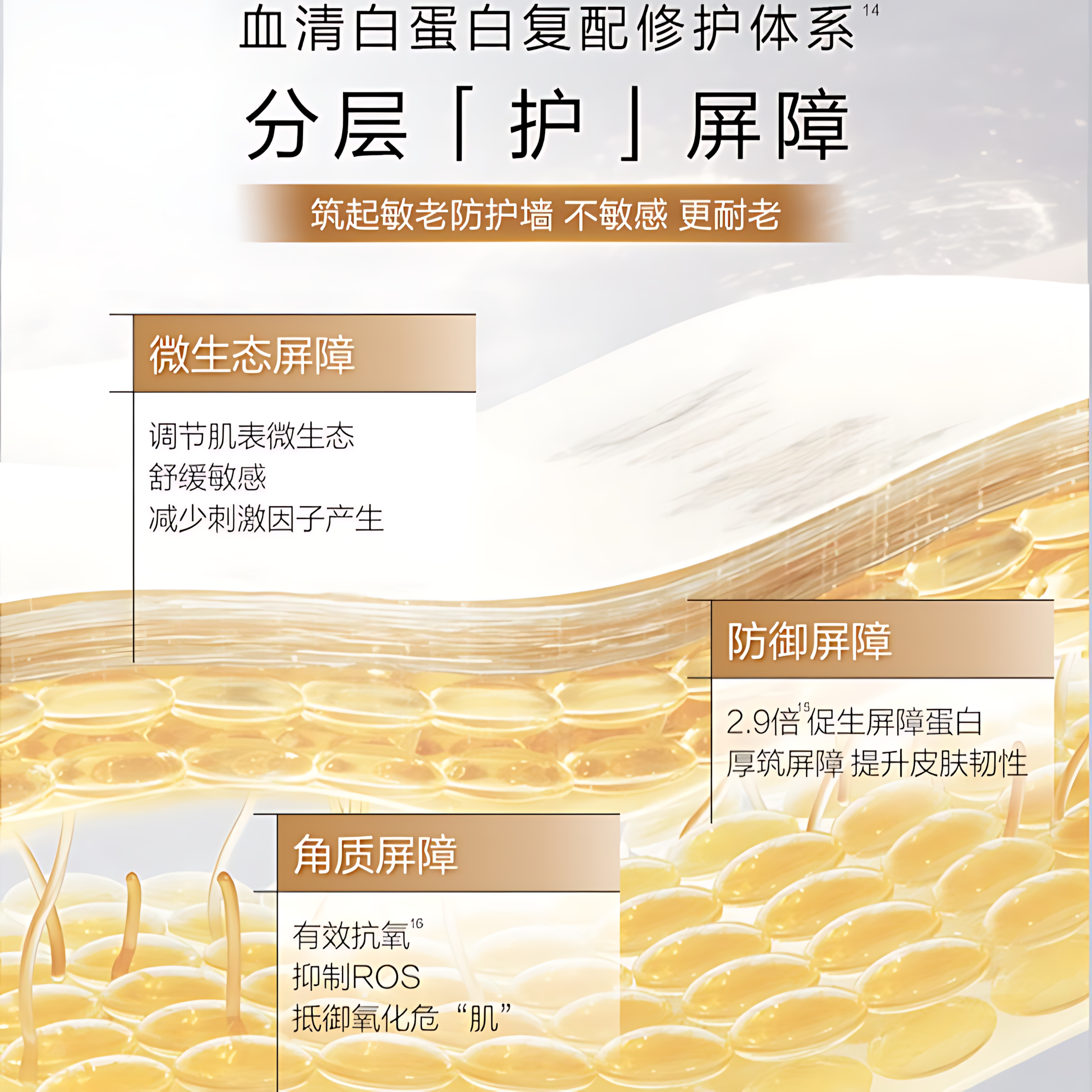 CHANDO Triple Collagen Full-Face Anti-Wrinkle Single-Use Ampoule 1.2ml*5pcs/30pcs 自然堂三重胶原全脸淡纹次抛精华液