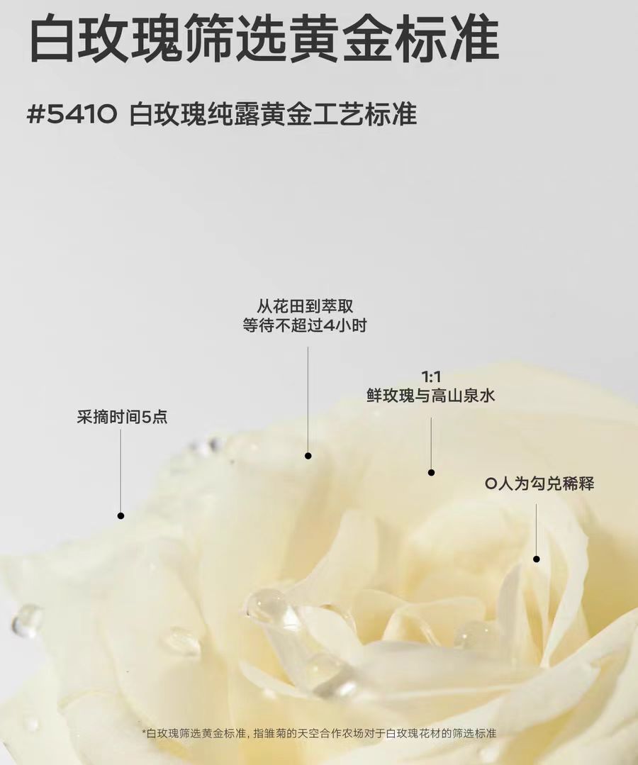 DAISY SKY White Rose Hydrosol 318ml 雏菊的天空白玫瑰纯露