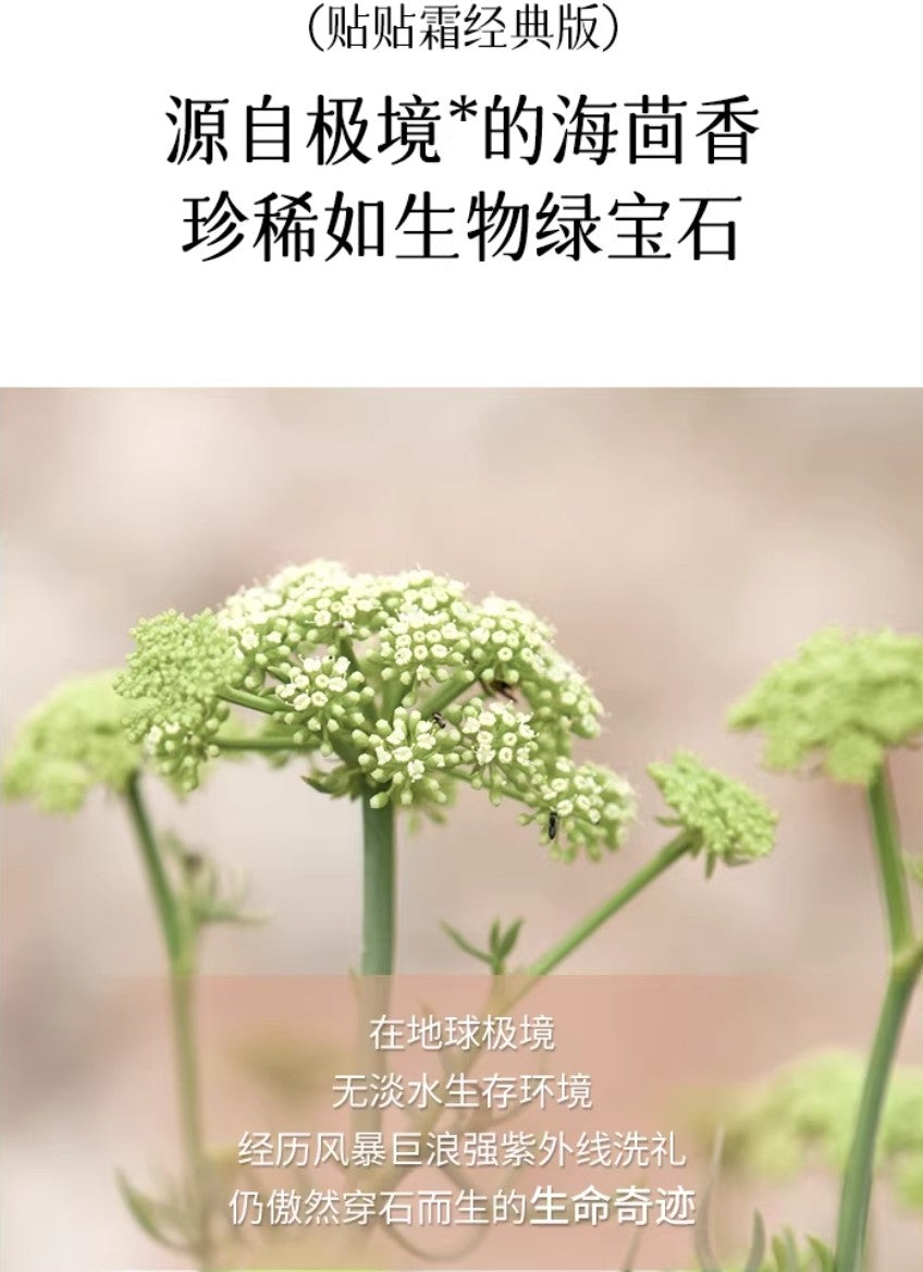 Daydream Breaker Moisturizing Makeup Front Cream 30g 白日梦醒家沁润保湿妆前面霜