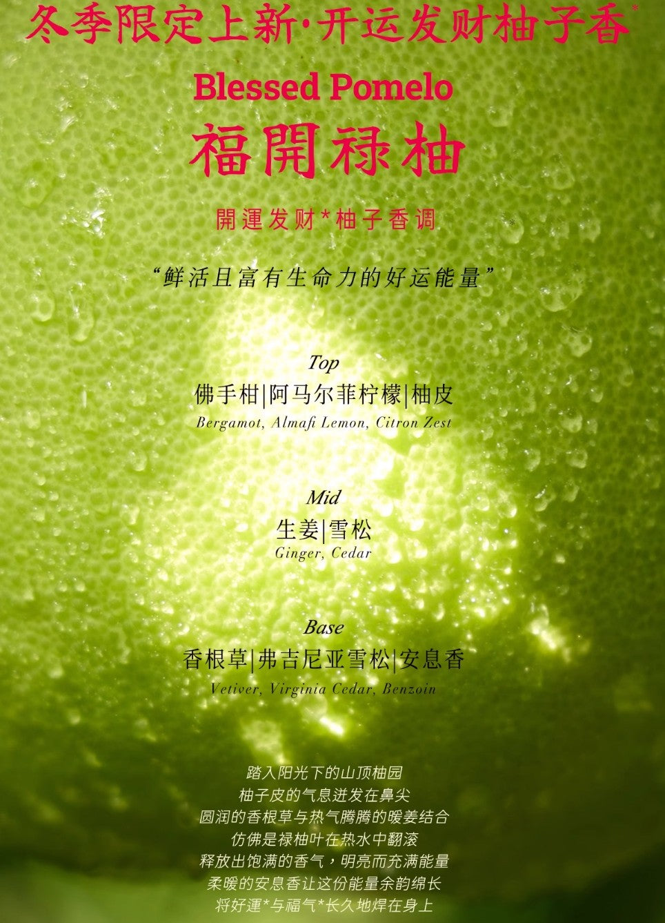 Dear Irean Star Diamond Fragrance Hand Care Gift Set 45ml 独特艾琳星钻香氛手护礼盒