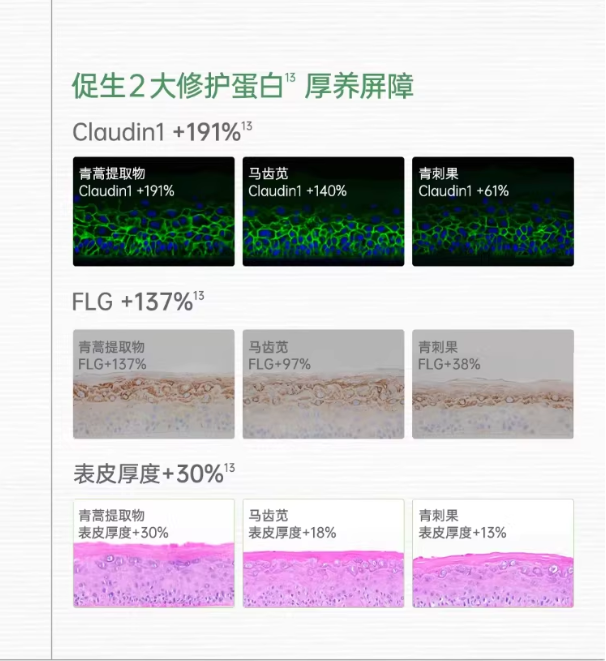 Dr.Yu Revitalizing Repairing Serum 30ml 玉泽焕活紧塑修护精华液