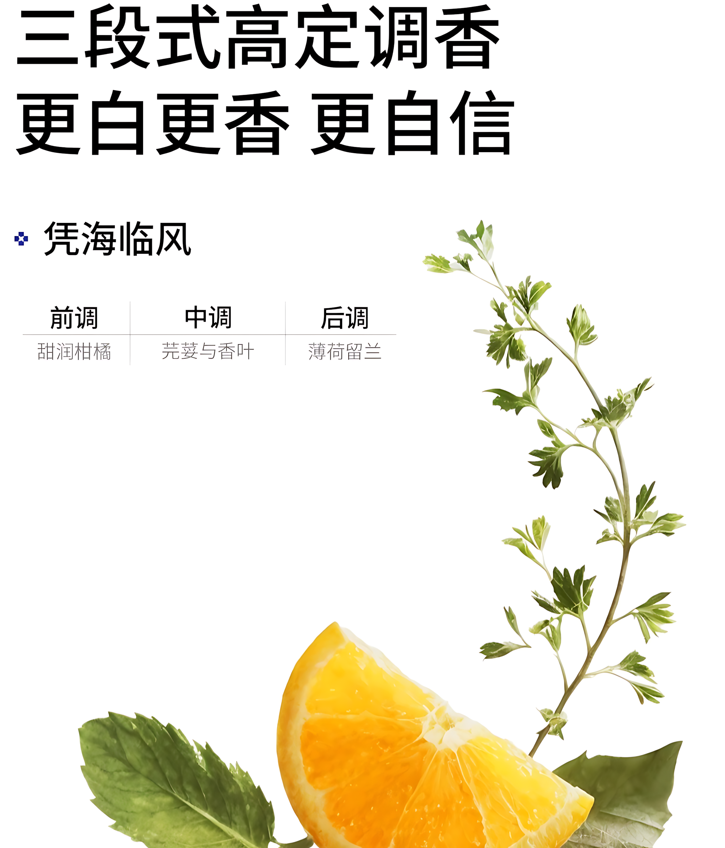 ECOOBIX Spotlight Whitening Essence Toothpaste 50g 白惜光学美白精华牙膏