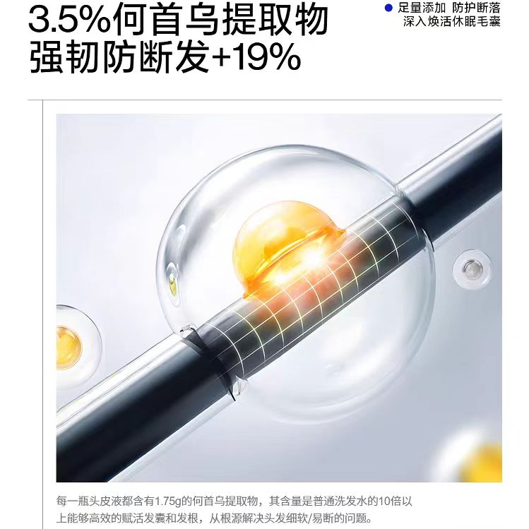 EHD Thirteen Plant Based Scalp Care Fluids 50ml*6pcs EHD十三重植萃头皮养护液