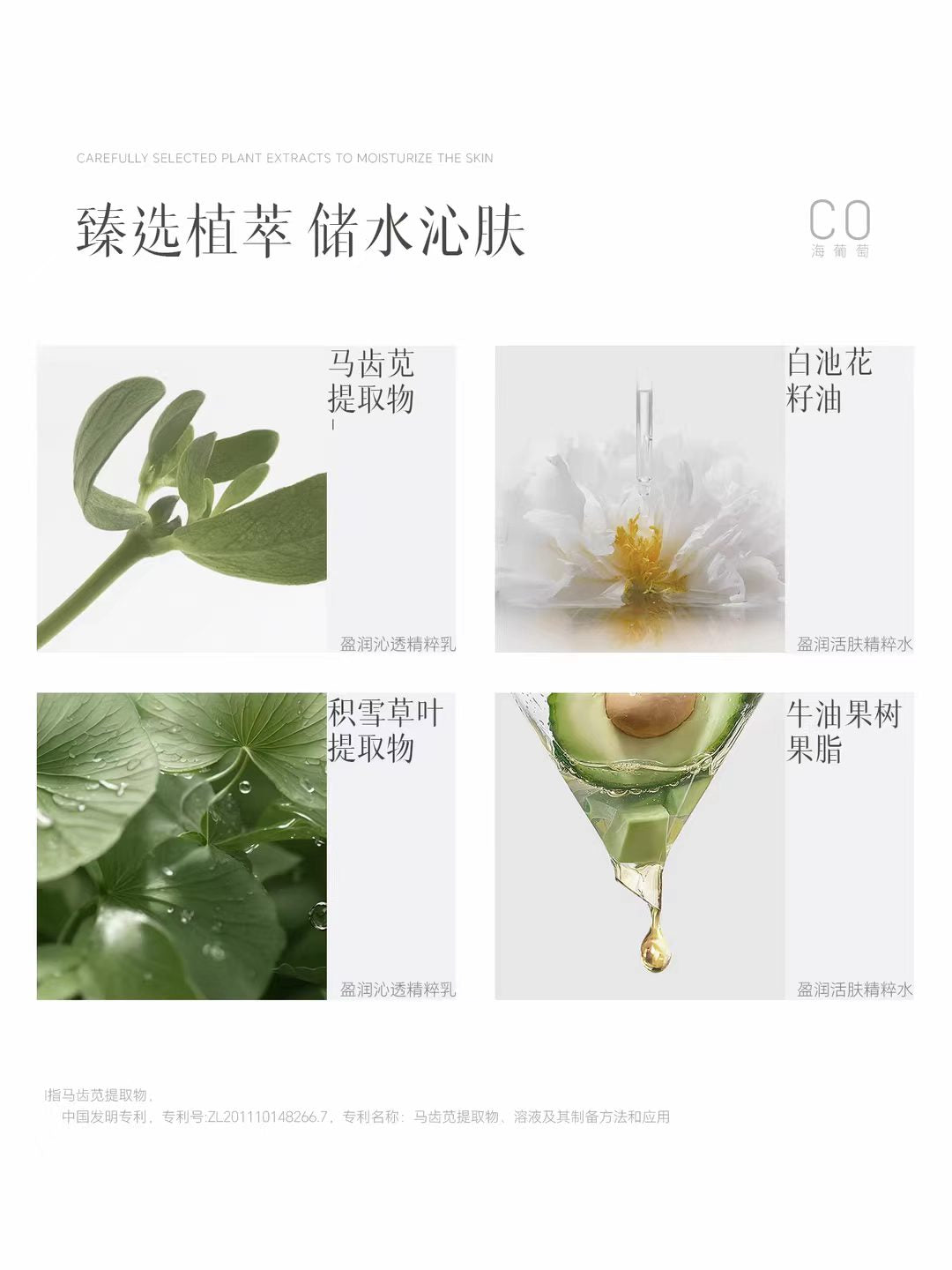 ELL Sea Grapes Hyaluronic Essence Toner & Lotion 150ml+120g ELL海葡萄玻尿酸盈润精粹水乳