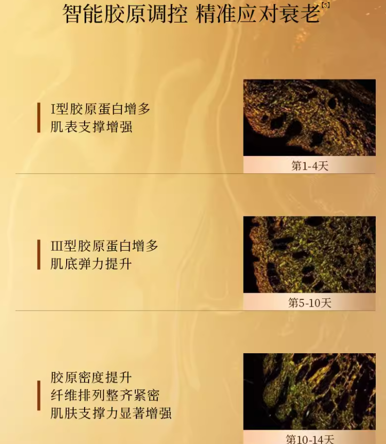 FAN BEAUTY DIARY Reishi & Tubermagnatum Amber Anti-Wrinkle Balm Mask (4g+30ml)*5pcs/box 美黎汎灵芝白松露琥珀蜜润淡纹油膏面膜