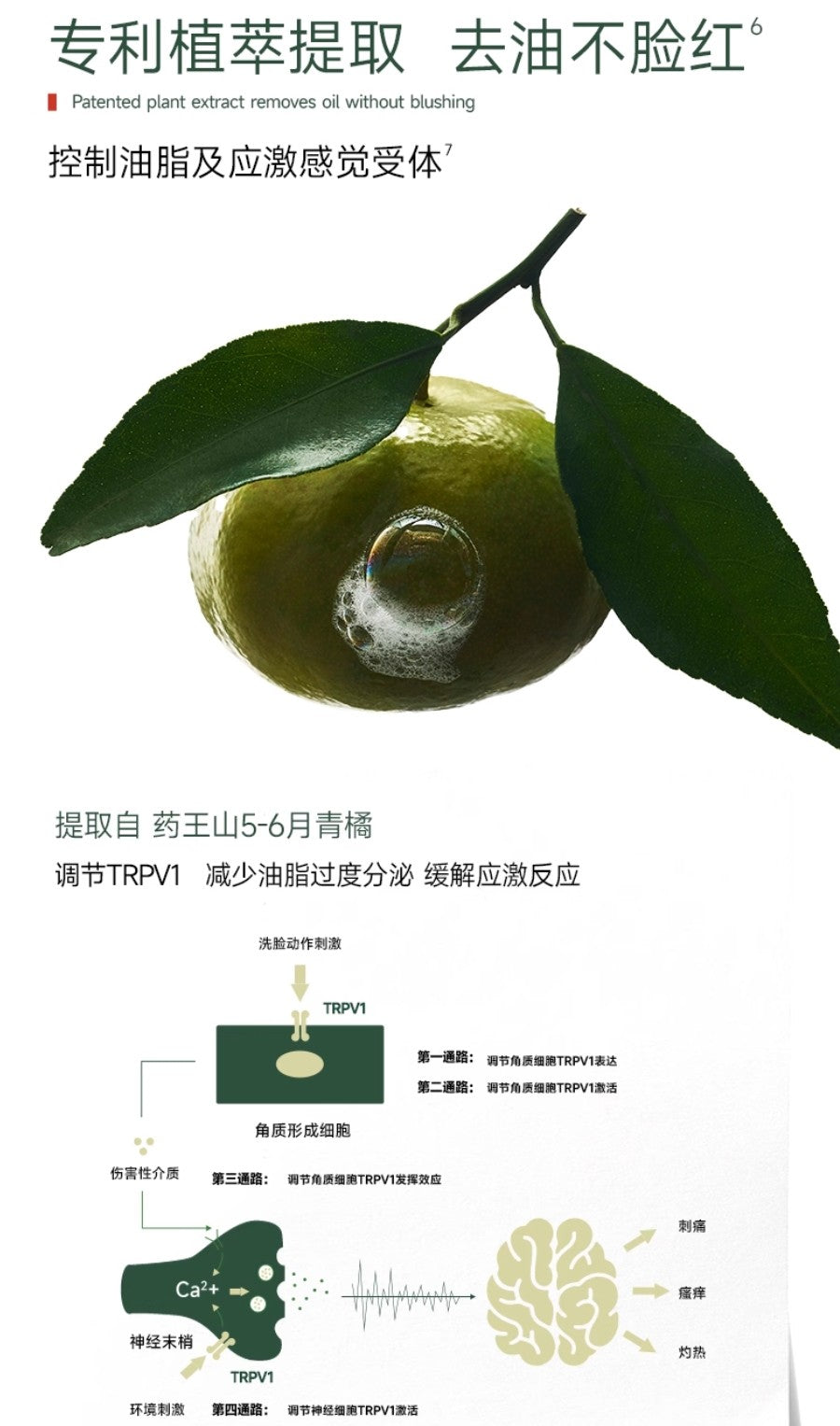 FULFIL Purify Balancing Cleanser 150ml 芙芙净澈平衡洁颜蜜