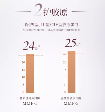 Forest Cabin Camellia Active Anti-Wrinkle Essence Lotion 2.0 200ml 林清轩红山茶焕活淡纹精华水2.0