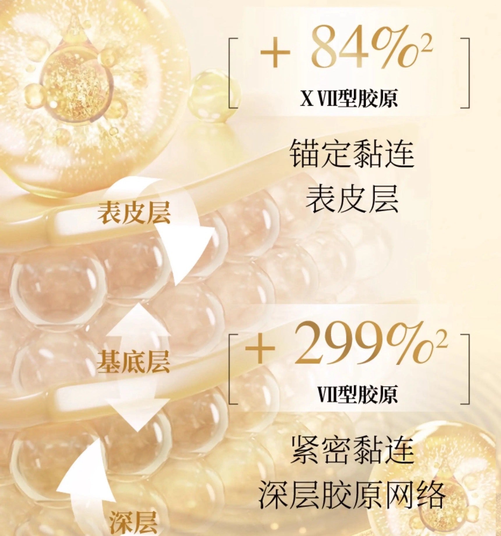 Forest Cabin Camellia Anti-Wrinkle Peptide Dewy Essence Toner 60ml/120ml 林清轩山茶花抗皱肽微珠精华水