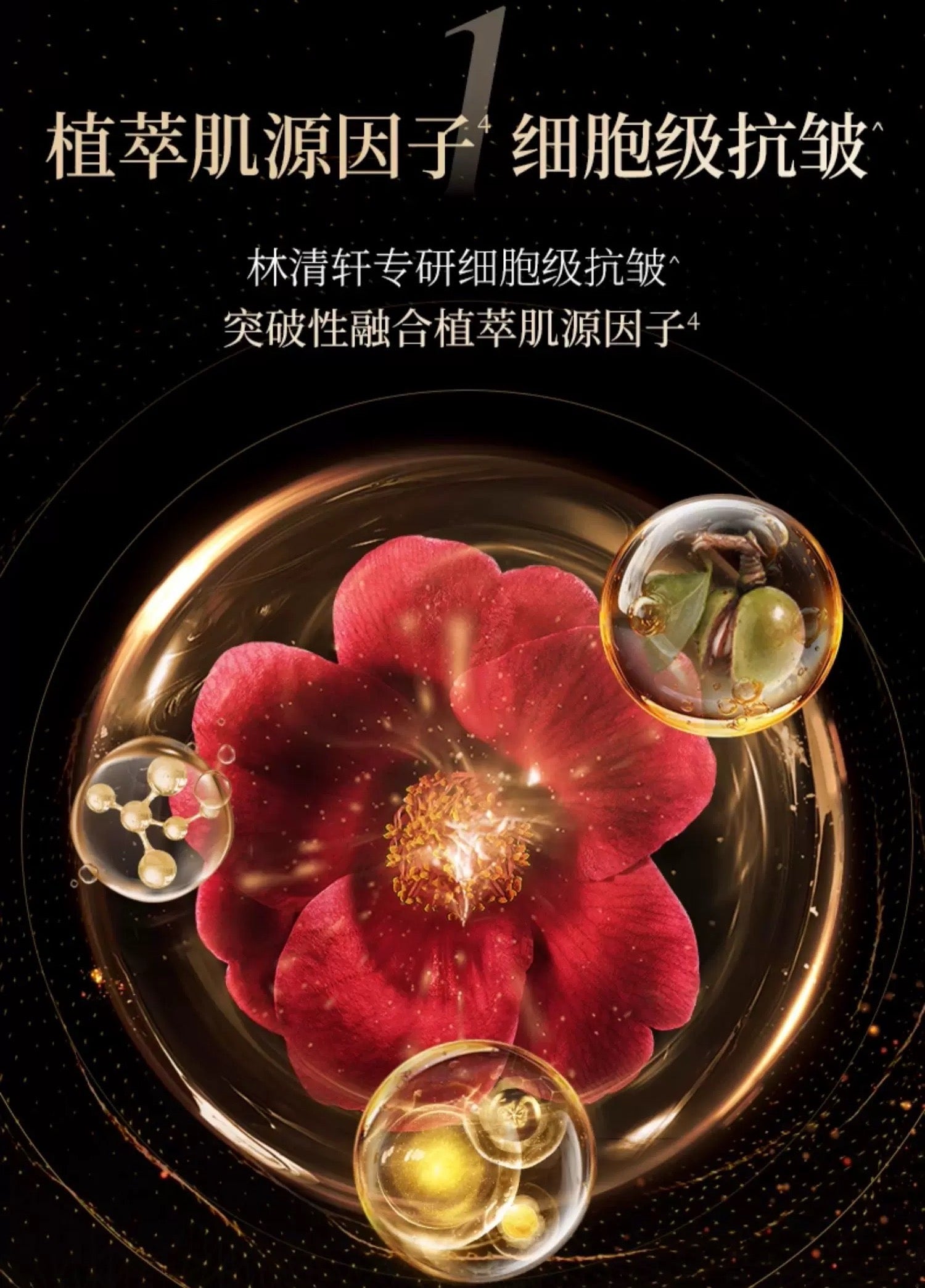 Forest Cabin Camellia Black Gold Rejuvenate Peptide Anti-Wrinkle Brightening Toner 2.0 150ml 林清轩山茶花黑金时光肽抗皱焕亮柔肤液2.0