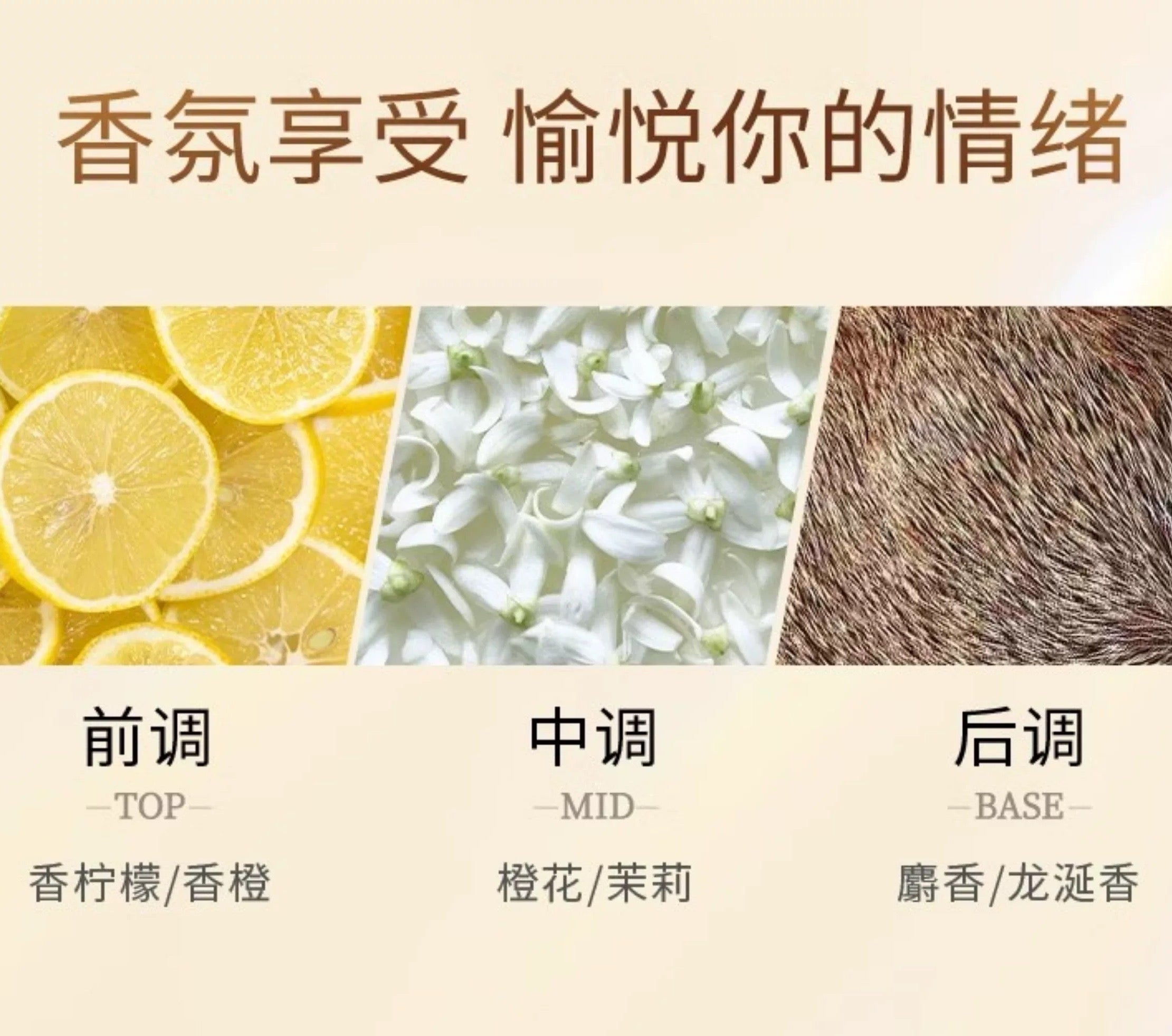 Forest Cabin Camellia Fragrance Bath Oil 300ml 林清轩山茶花香氛沐浴油