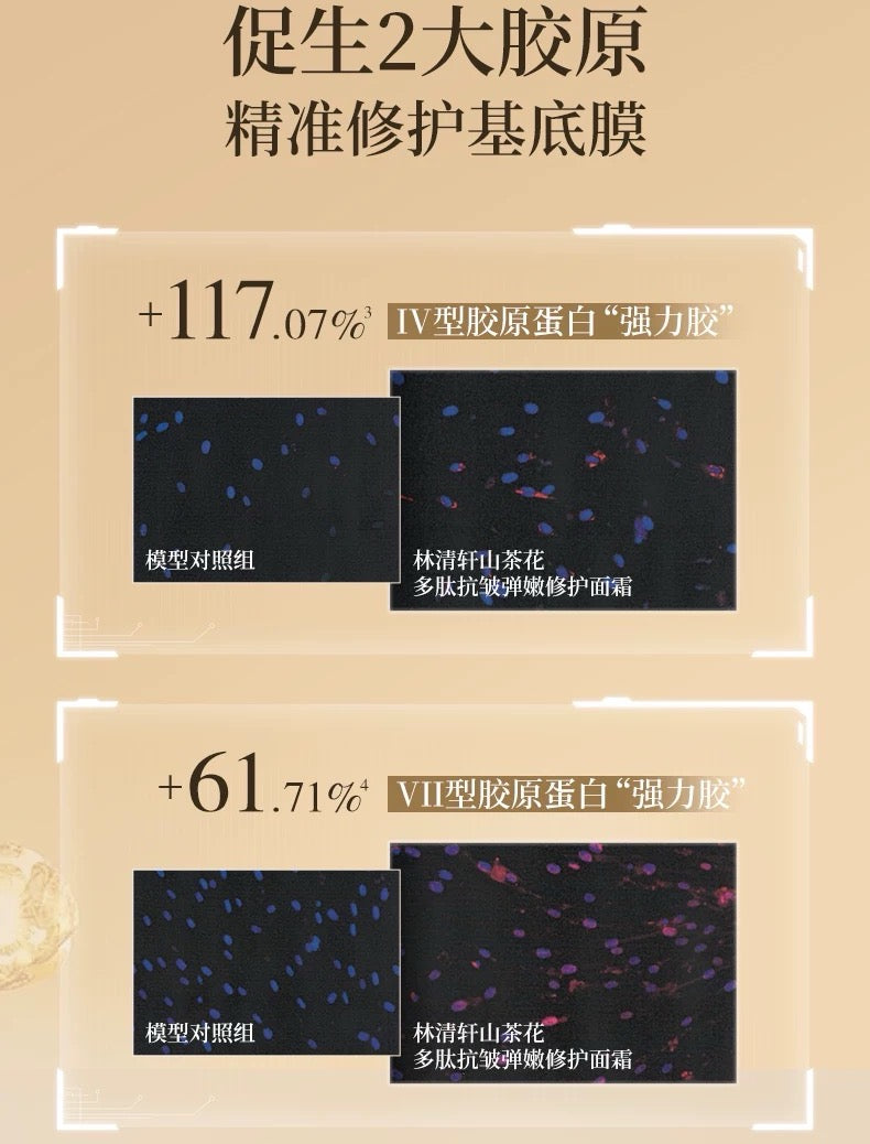 Forest Cabin Camellia Peptide Anti-Wrinkle Firming Repair Cream 2.0 50g 林清轩山茶花多肽抗皱弹嫩修护面霜2.0