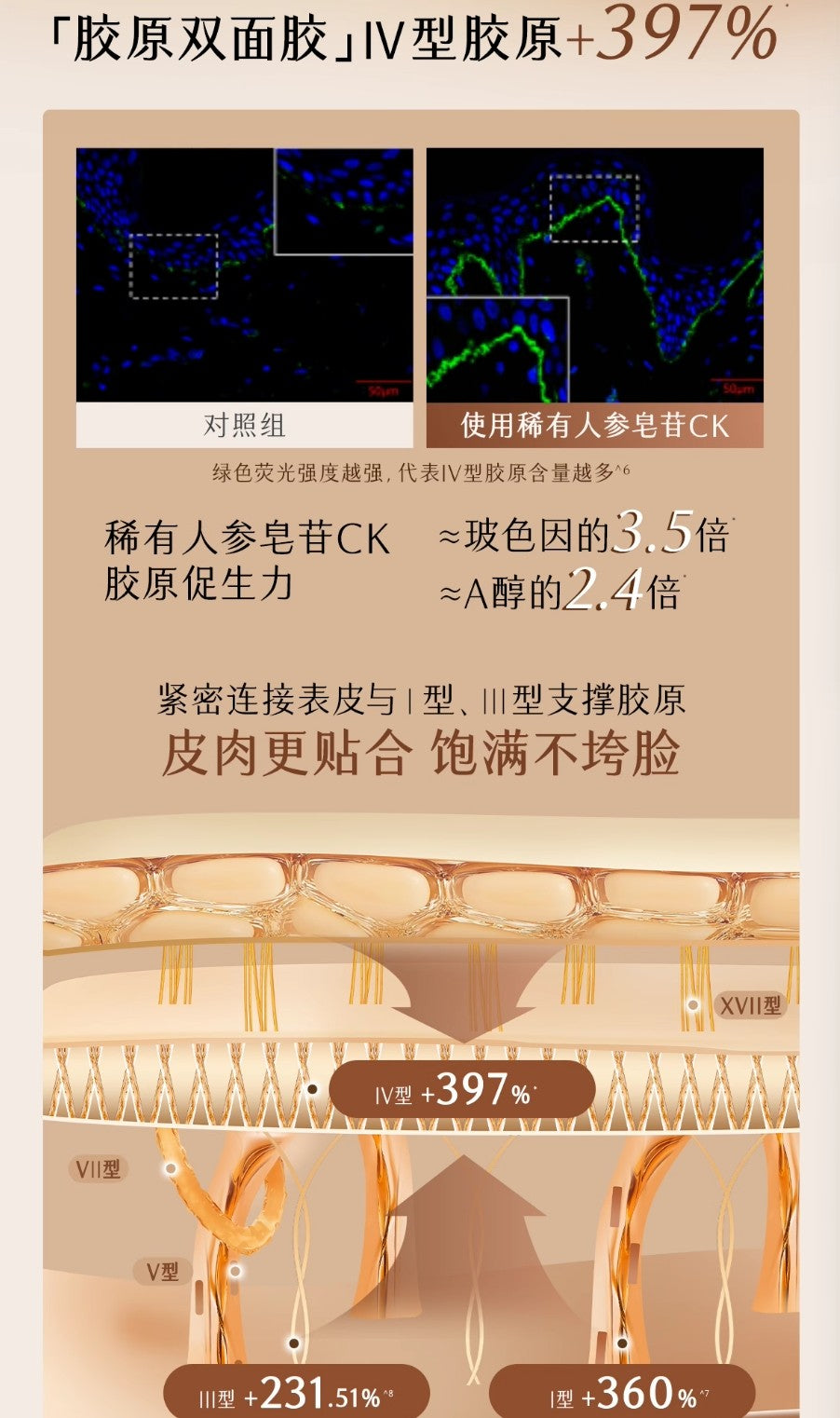 GUYU Elixir Firming Whitening Essence 1.5ml*5pcs/30pcs 谷雨御时极光淡纹祛斑精华液