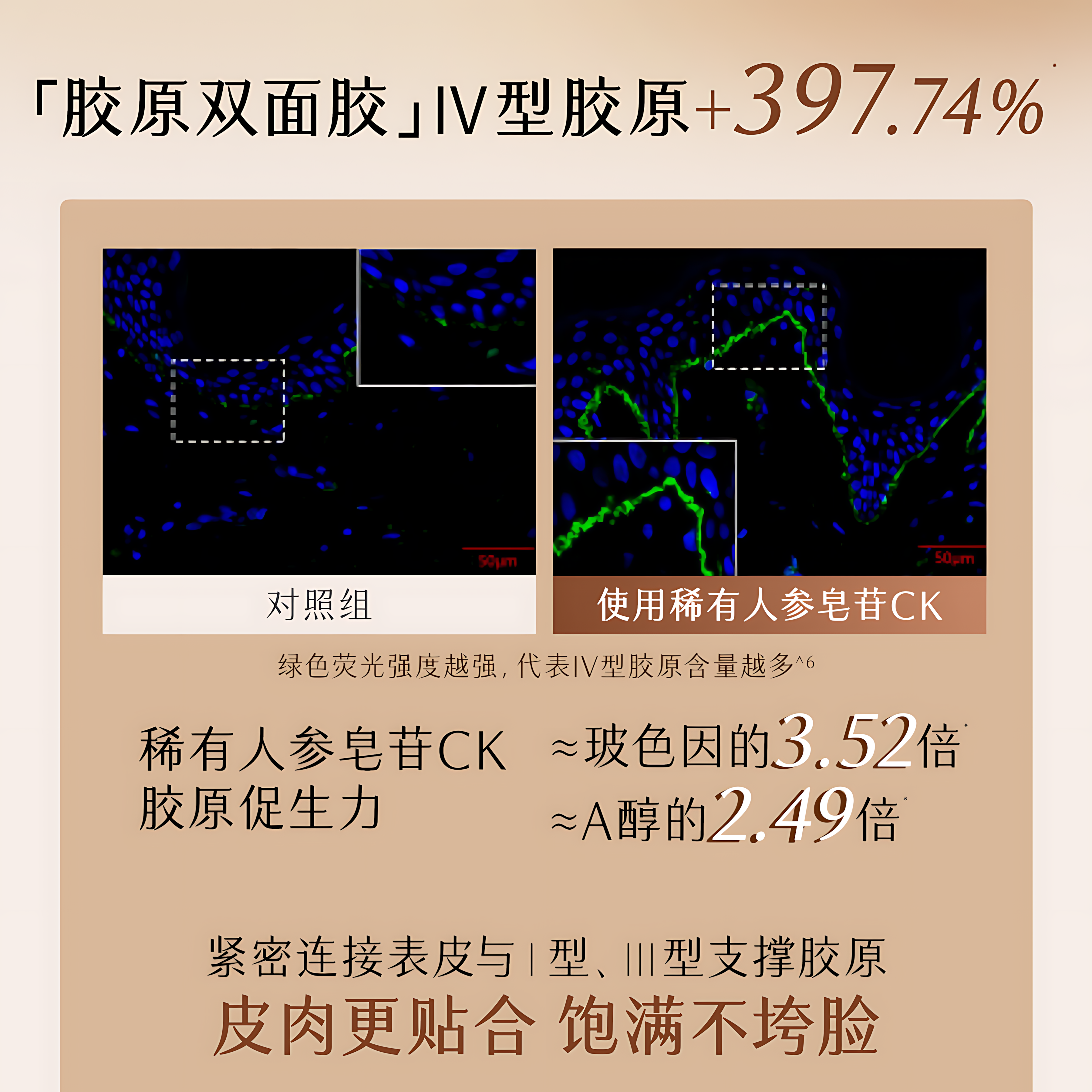 GUYU Elixir Ginseng Collagen Firming Mask 5.5g*12pcs/box 谷雨御时灵参紧致滢亮精华面膜