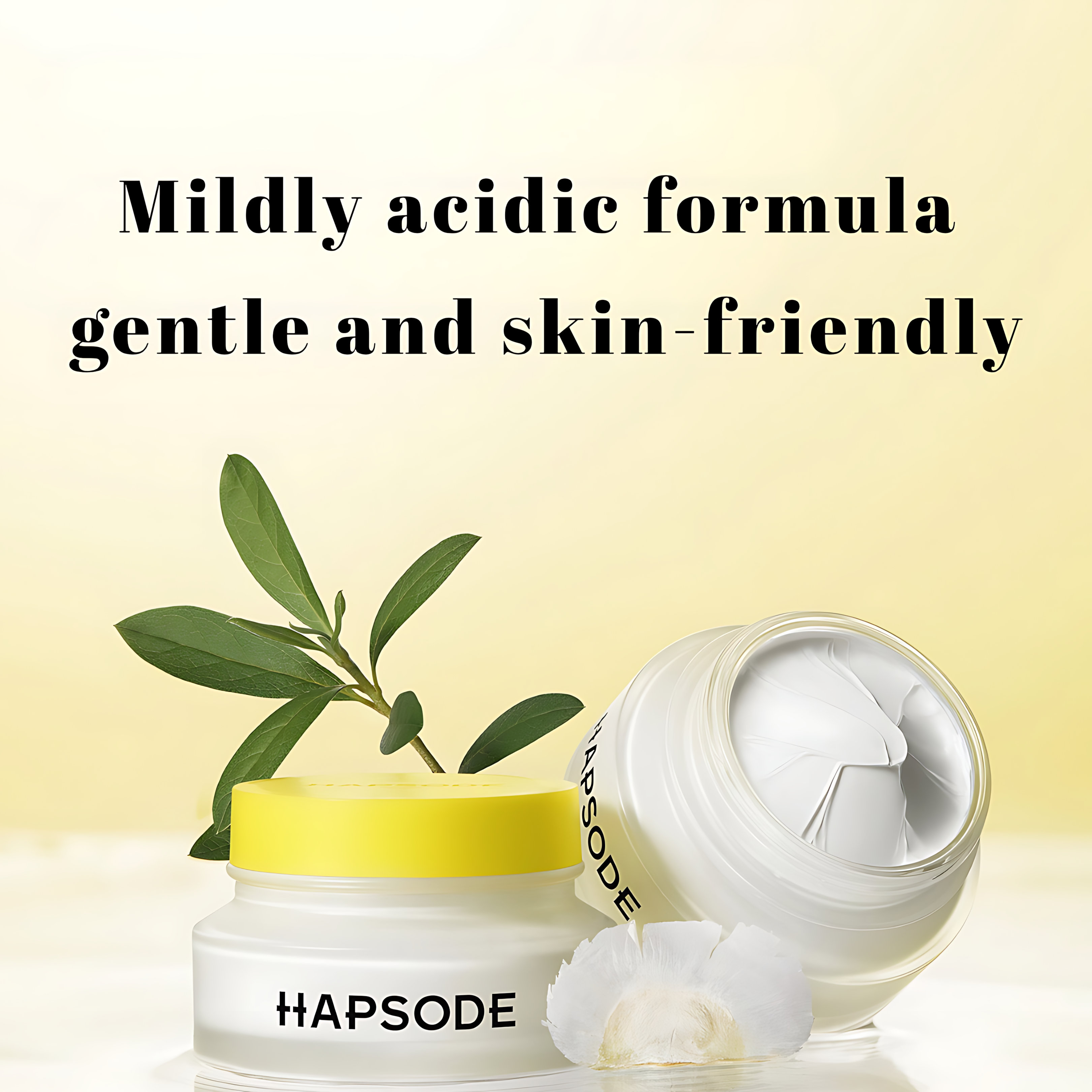 HAPSODE Pore Clarifying Cleansing Mud Mask 3.0 100g 悦芙媞净澈毛孔清洁泥膜3.0