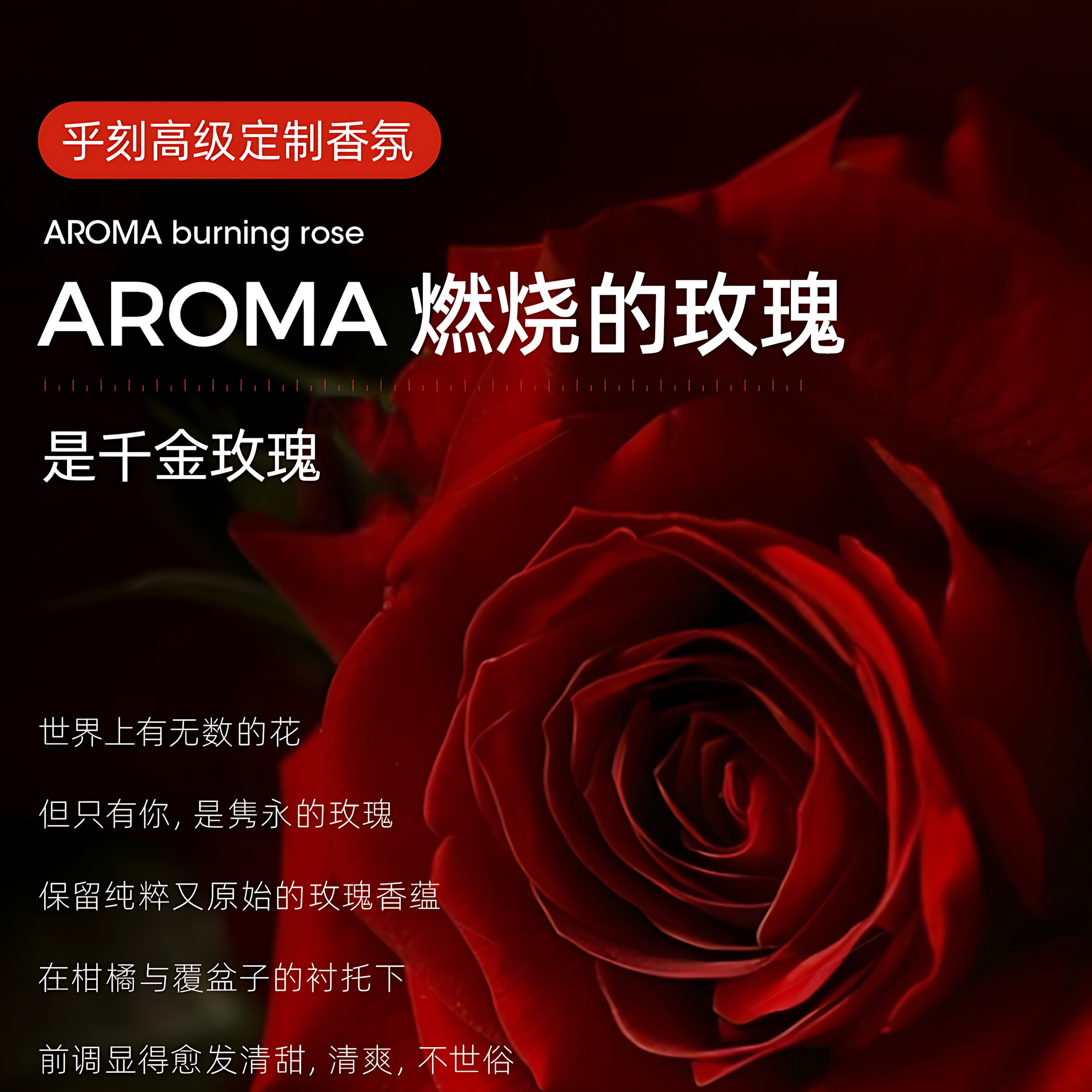 HUKO Nicotinamide Toning Cream 100g 乎刻烟酰胺水感素颜霜