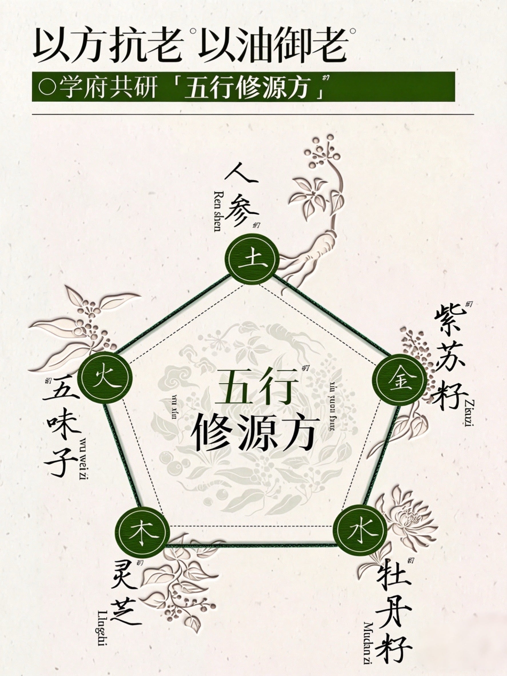 Herborist Xiuyuan Five Elements Resilience Soothing Wrinkle Oil Mask 25g×5pcs/box 佰草集修源五行盈韧舒纹油敷膜
