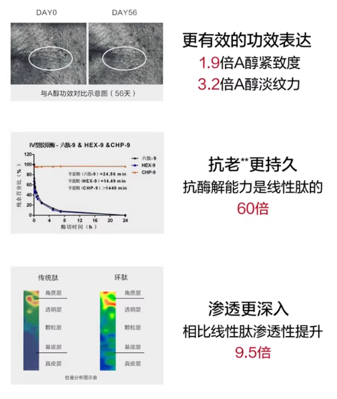 Tiktok/Douyin Hot KANS Polypeptide Collagen Pleasant Set【Tiktok抖音爆款】韩束多肽胶原弹嫩套组