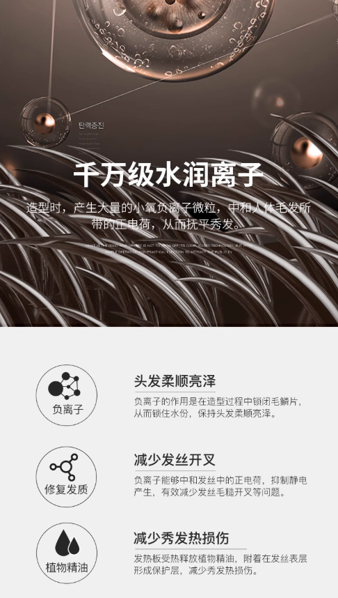 LANX Mini Negative Ion Hair Straightener 兰什负离子迷你直发夹