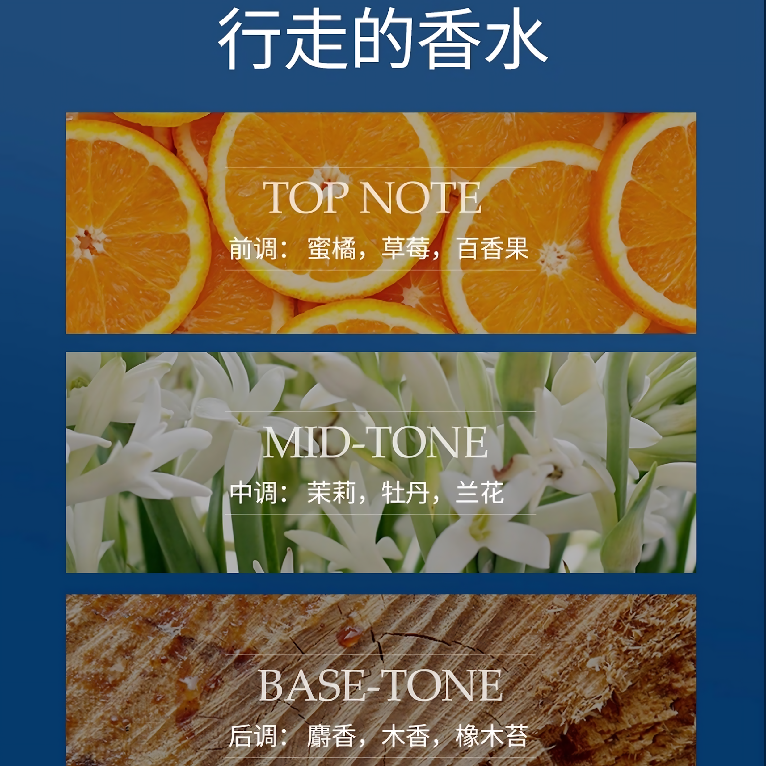 MCHOIX Soft And Smooth Eotanical Hair Oil 100ml 魔香柔顺臻萃护发精油