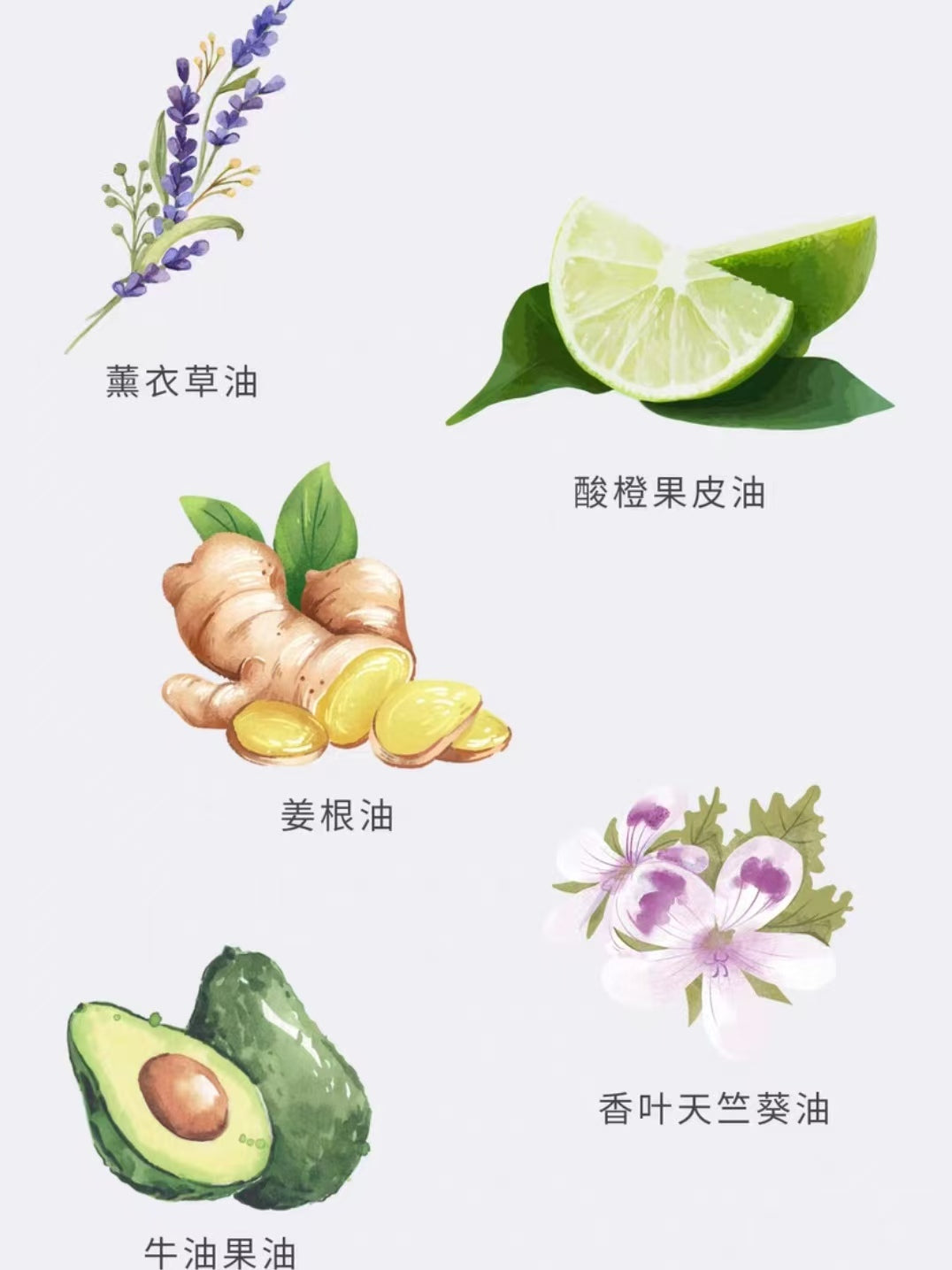 MKMAKANE Radiance Night Cream 2.0 60g 百奈子焕采晚安霜2.0