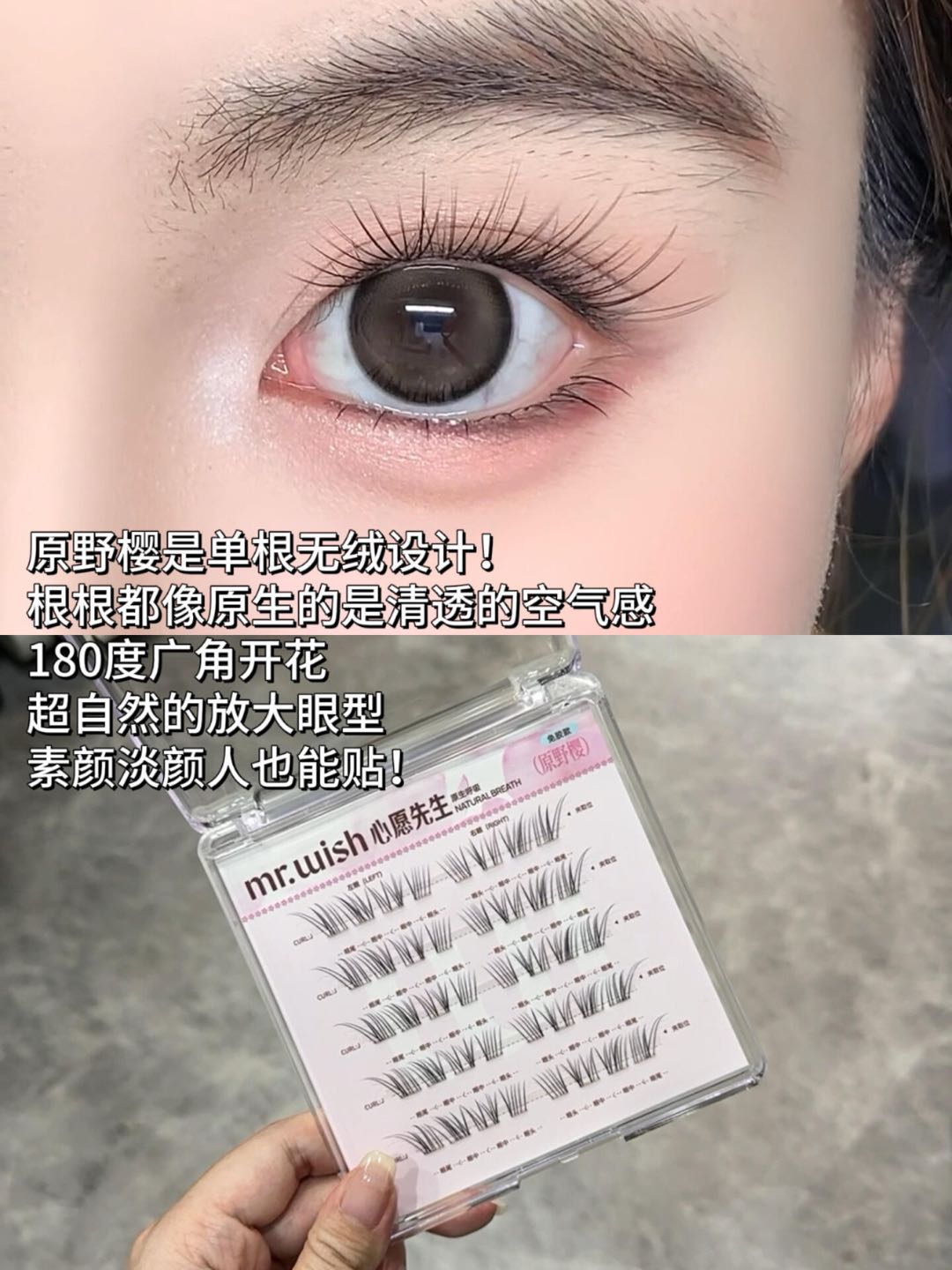 MR.WISH Cherry Blossom Limited Edition Glue-Free/Glue-On False Eyelashes 1box 心愿先生樱花限定免胶/胶水假睫毛