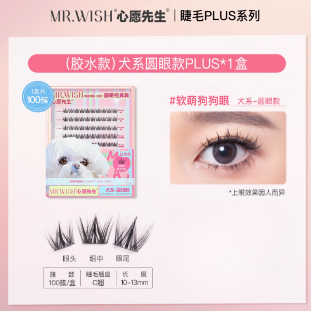 MR.WISH PLUS Edition False Eyelashes Book 1 Box 心愿先生PLUS版睫毛书