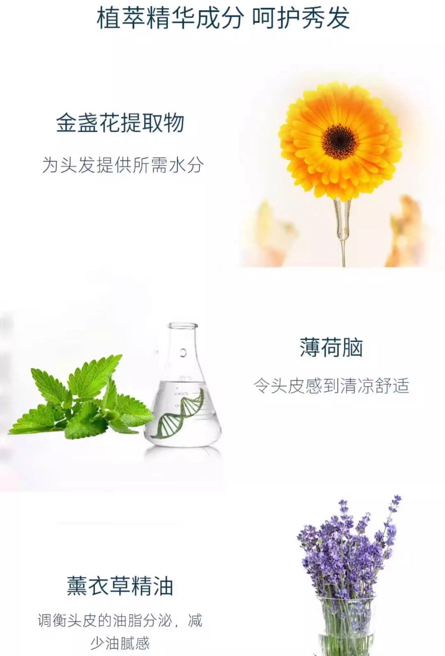 Tiktok/Douyin Hot MXL Shampoo/Conditioner 500ml【Tiktok抖音爆款】MXL洗发水/护发素