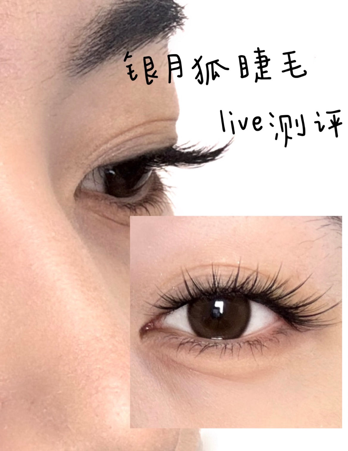 OEIEZ Lively Eyes Series Silvermoon Fox Glue-Free False Eyelashes 40pcs/box 欧亿姿灵眸魅影系列银月狐免胶假睫毛