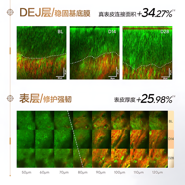 OSM Collagen Firming And Repairing Essence 2.0 1.2ml*5pcs/30pcs 欧诗漫胶原紧致修护精华液2.0