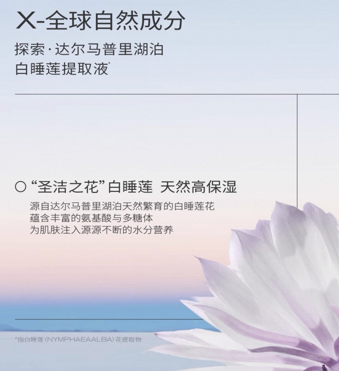 PMPM Nymphaea Alba Nicotinamide Hydration Radiant Essence & Lotion 100ml+100g 偏偏白睡莲烟酰胺保湿焕采精华水乳