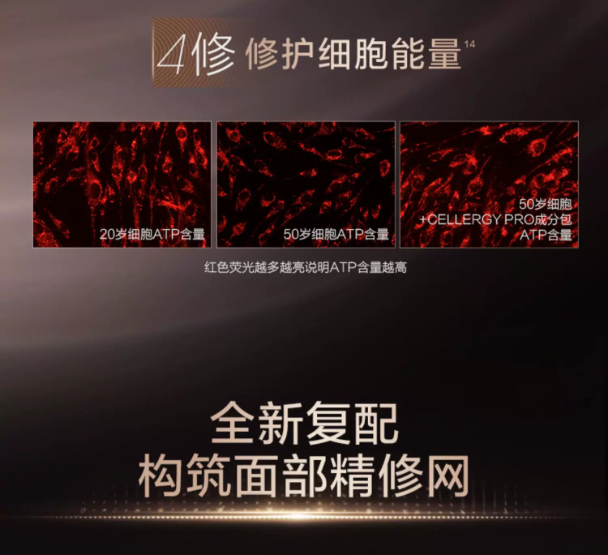 PROYA Inaugurating Intensive Firming Cream 2.0 15g 珀莱雅启时集致紧塑霜2.0