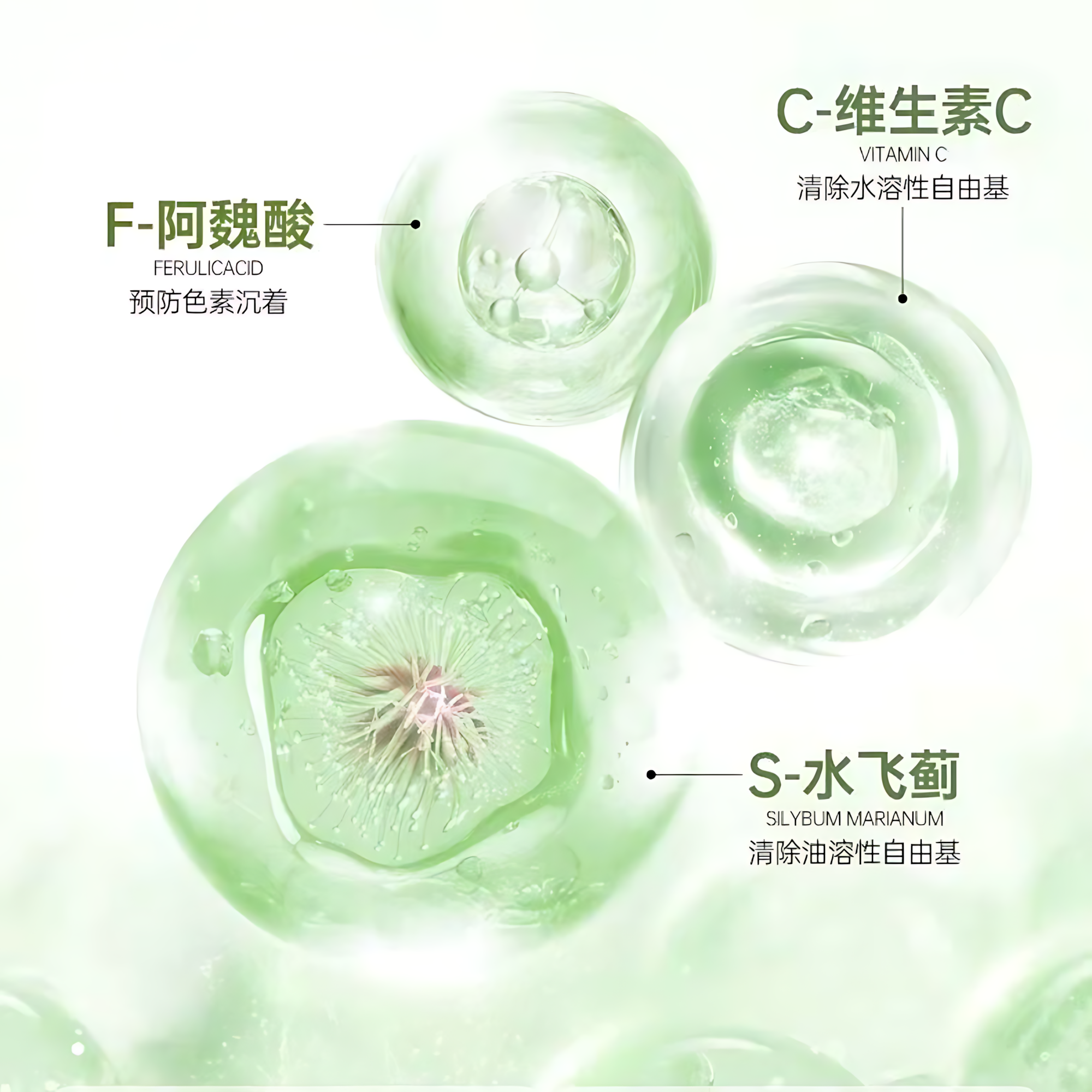 PURE&MILD Bamboo Purifying Cleansing Clay 100g 泊美竹茎毛孔净透清洁泥膜