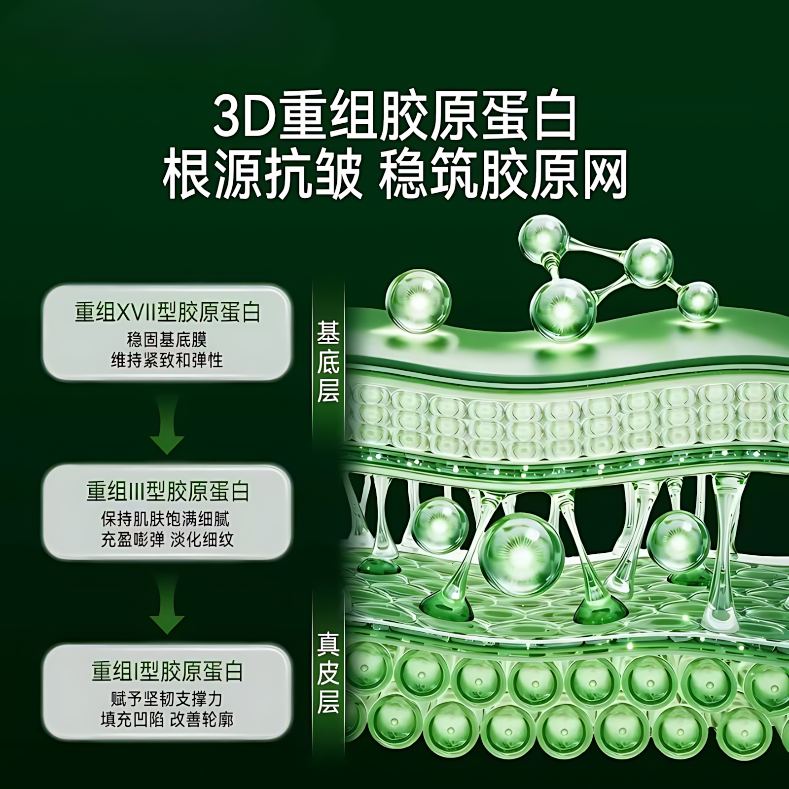 PURE&MILD Collagen Elastic Moisturizing Anti-Wrinkle Eye Essential Oil 12ml 泊美胶原蛋白弹润抗皱眼部精华油