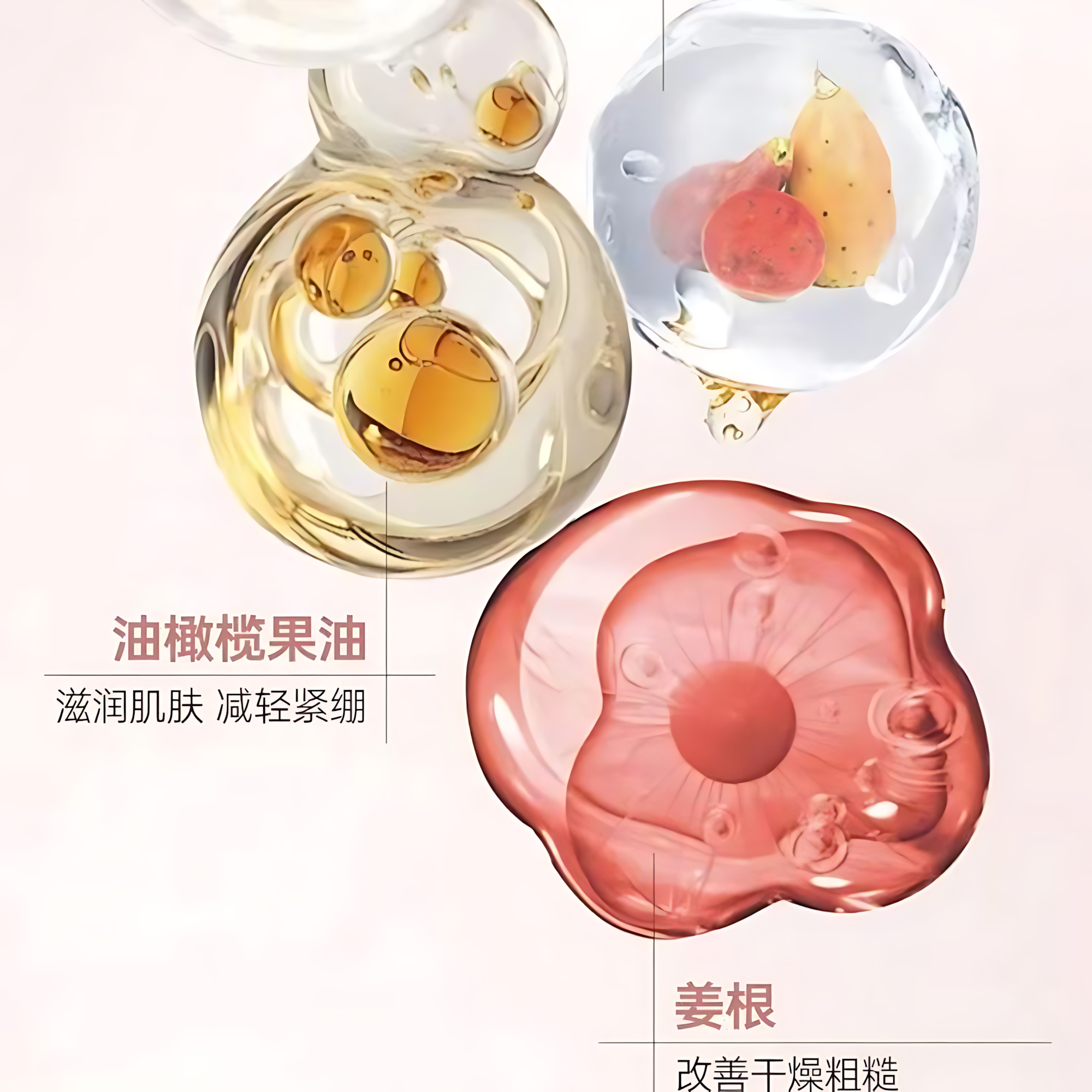 PURE&MILD Multi Action Anti Wrinkle Essence Oil 30ml 泊美鲜纯多效抗皱精华油