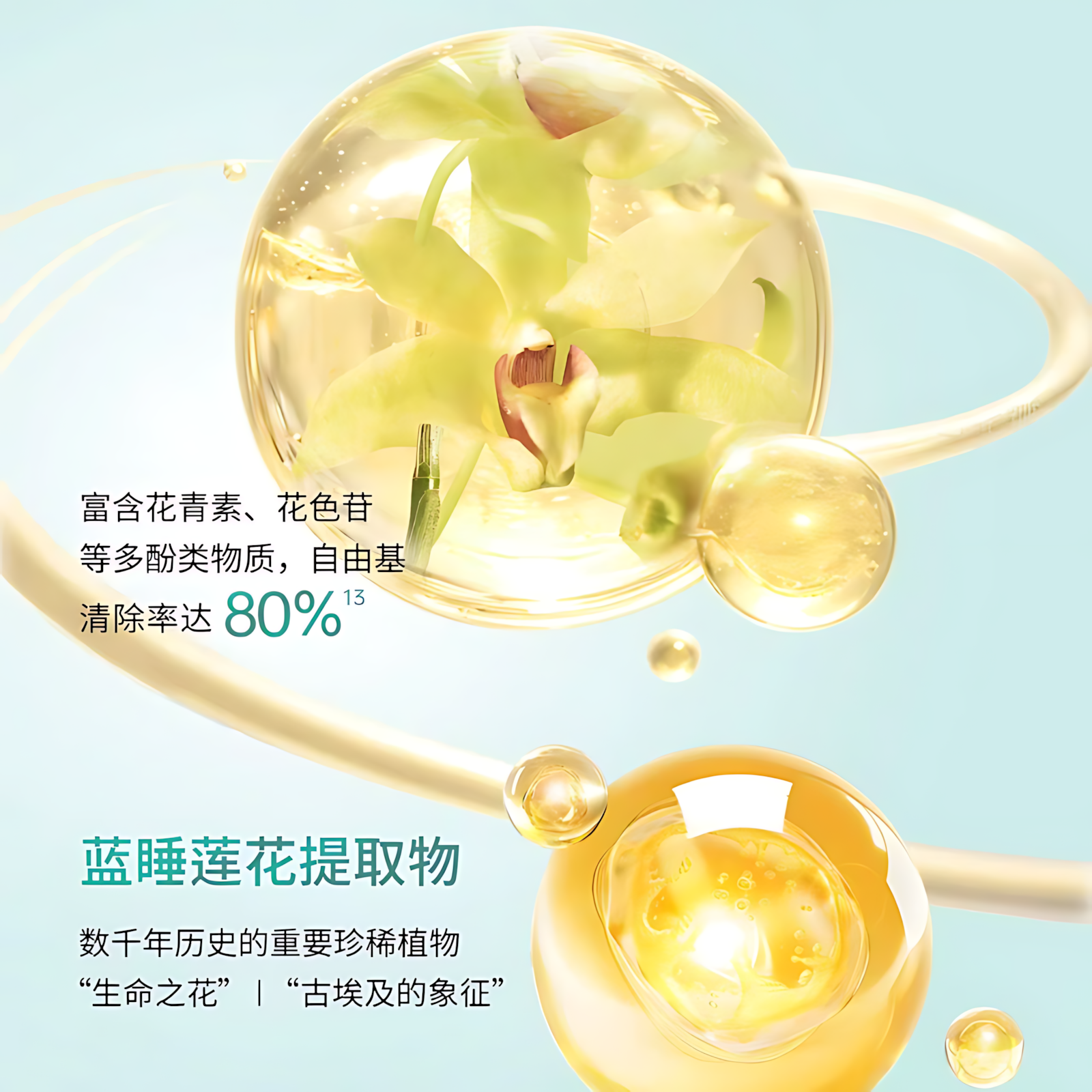 PURE&MILD Natural Power Concentrate Enriched Firming Eye Cream 15g 泊美新植物菁盈粹肌源恒润紧致眼霜