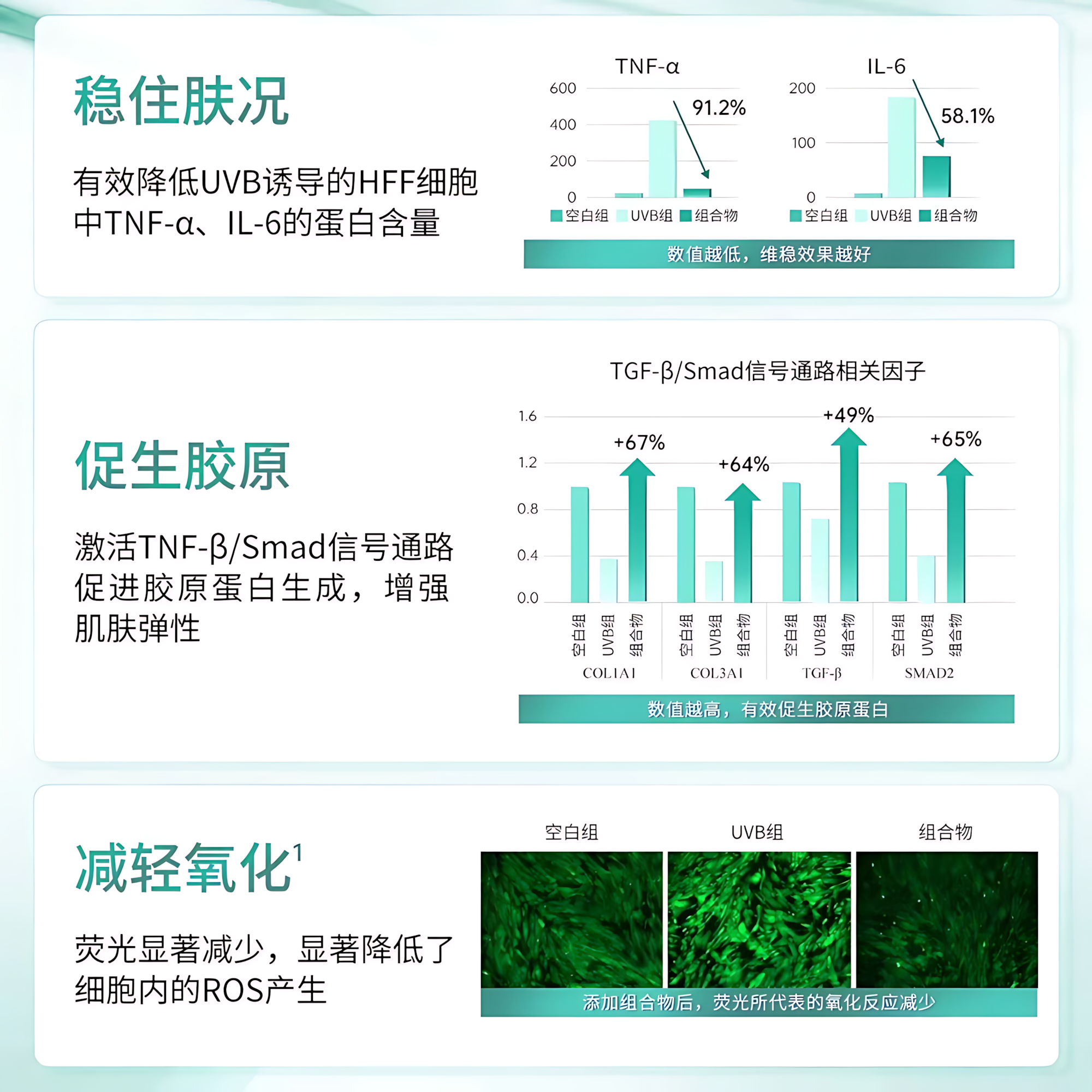 PURE&MILD Natural Power Concentrate Enriched Lotion Emulsion 120ml/100g 泊美新植物菁盈粹肌源恒润精华水乳