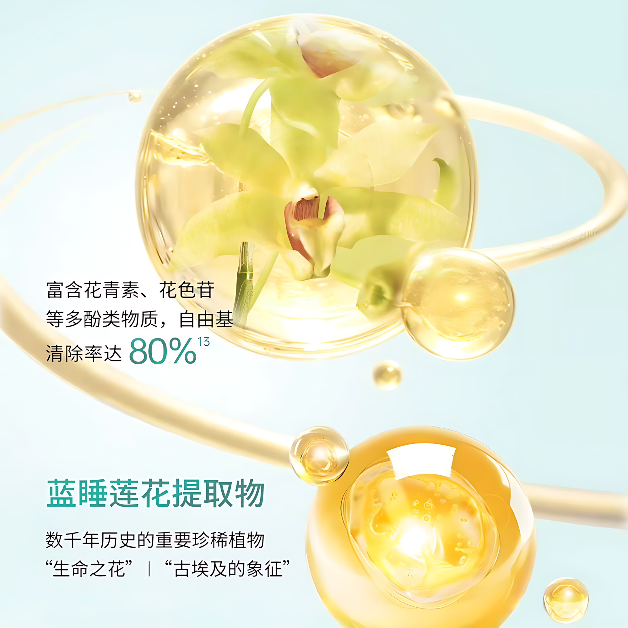 PURE&MILD Natural Power Concentrate Enriched Lotion Emulsion 120ml/100g 泊美新植物菁盈粹肌源恒润精华水乳