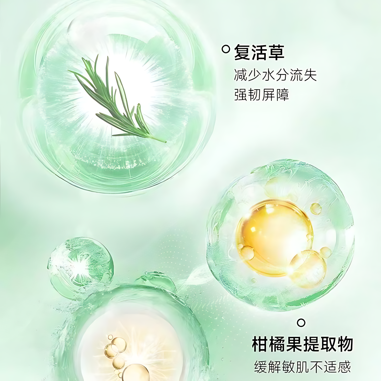 PURE&MILD Olive & Vitamin B5 Soothing Hydrating Essence Facial Mask 25ml*10pcs/box 泊美油橄榄维生素原B5舒缓保湿精华面膜