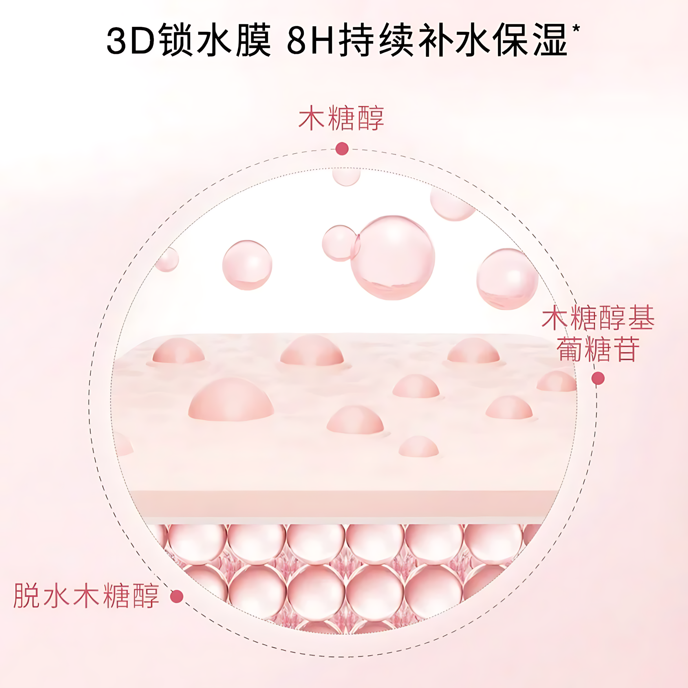 Tiktok/Douyin Hot RED EARTH PDRN CICA Moisturizing Face Base Lotion 80ml/220ml【Tiktok抖音爆款】红地球舒缓水光贴贴乳液