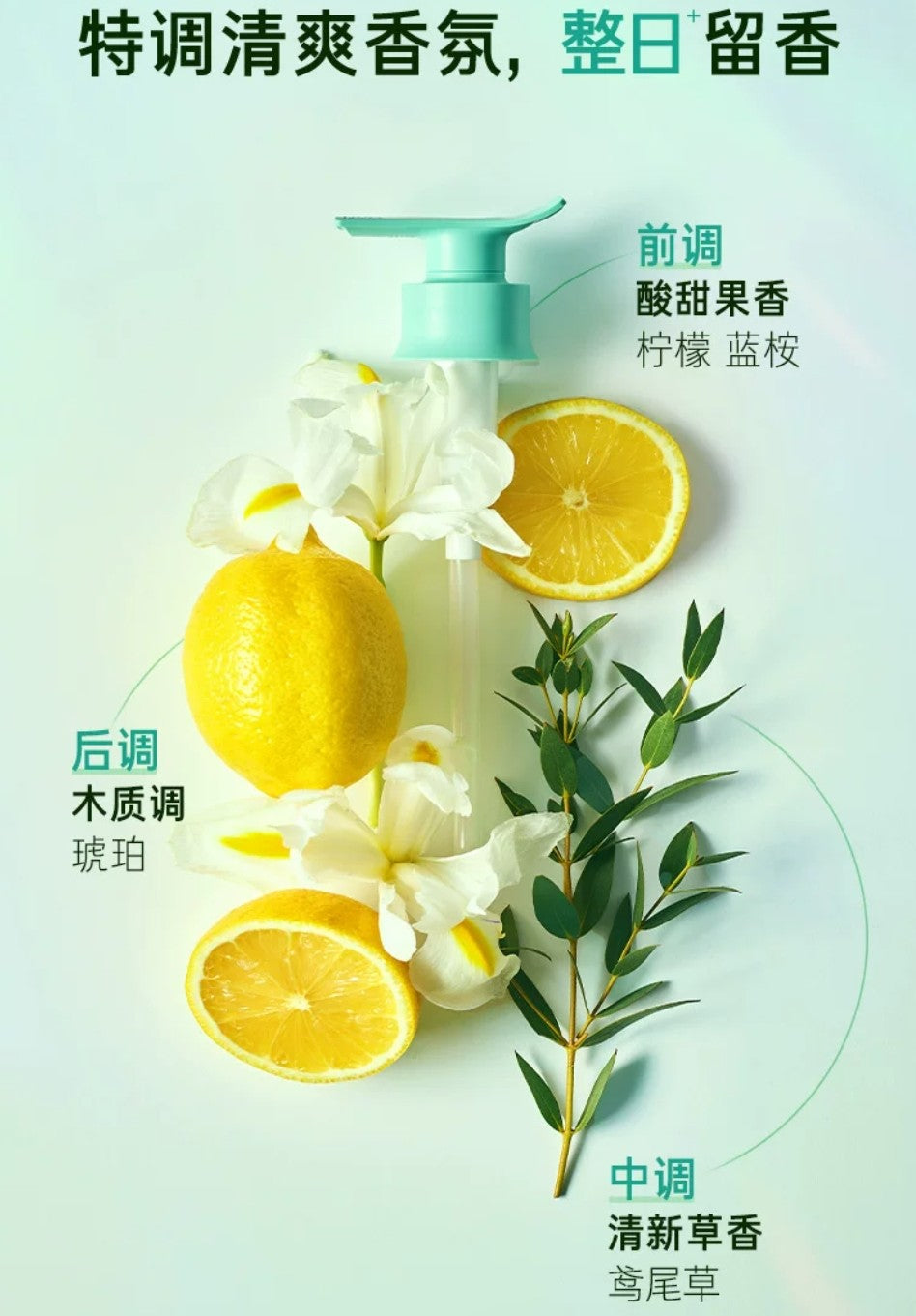 Tiktok/Douyin Hot RYO Shampoo 400ml【Tiktok抖音爆款】吕洗发水