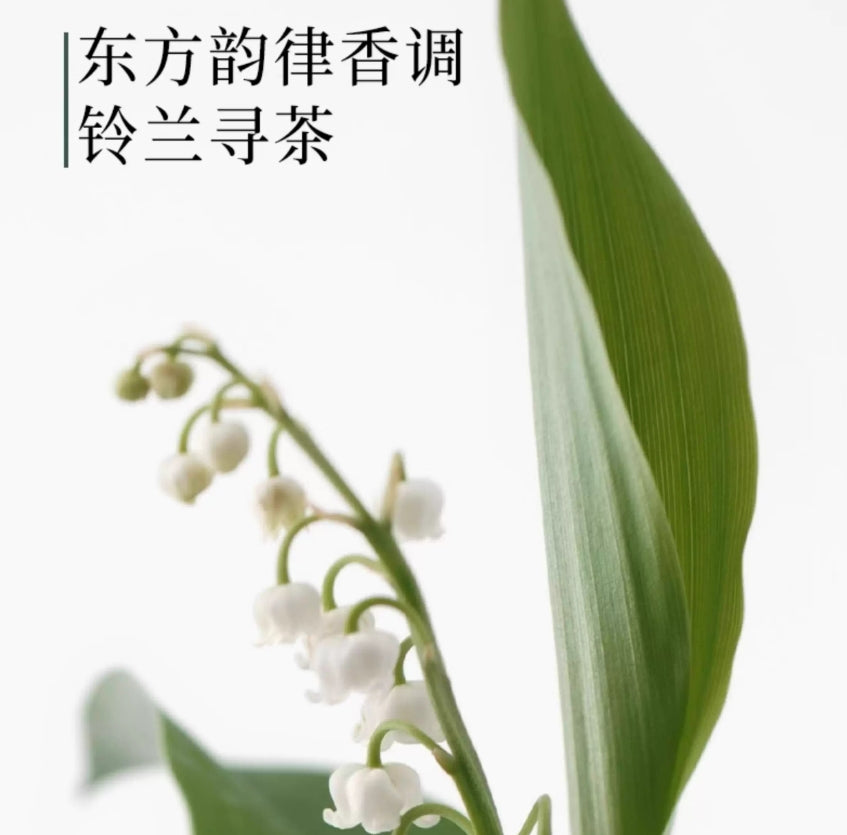 Tiktok/Douyin Hot SENSEWOOD Triple Soothing Scalp Toner 120ml【Tiktok抖音爆款】三森万物三重舒缓头皮水