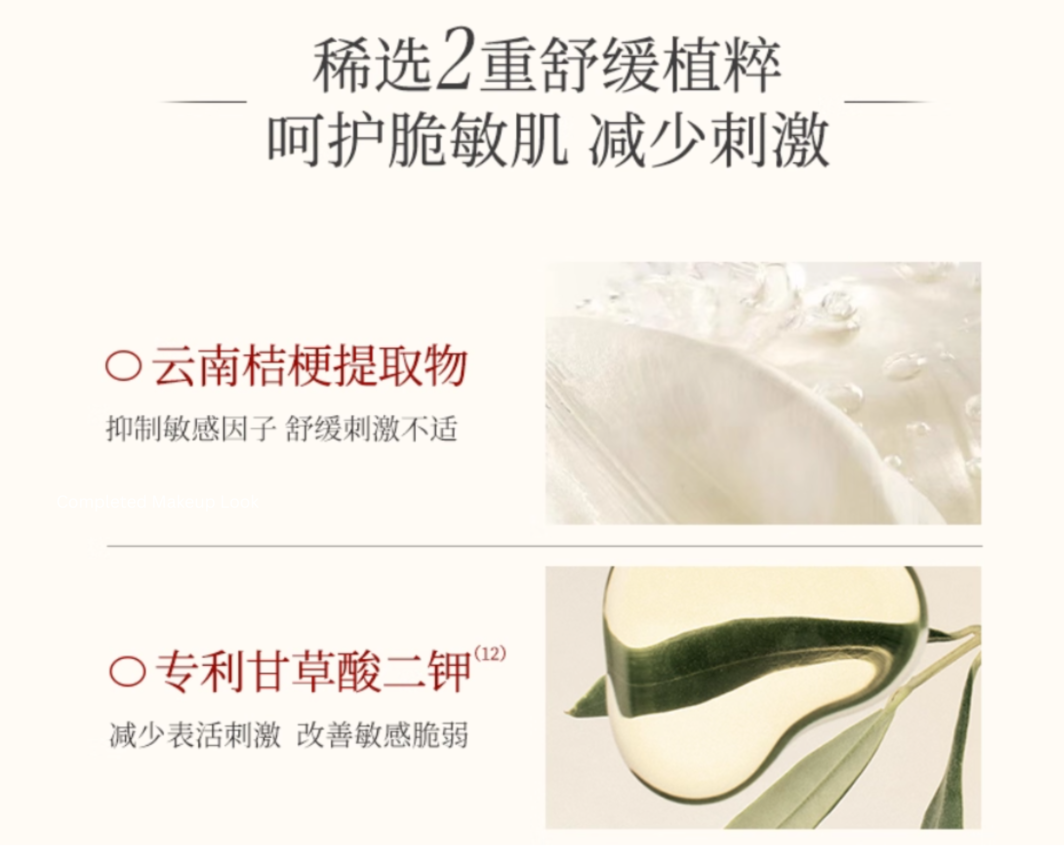 SHE LOG Matsutake Mushroom Amino Acid Cleansing Mousse 150ml 稀物集松茸菌菇氨基酸洁面慕斯