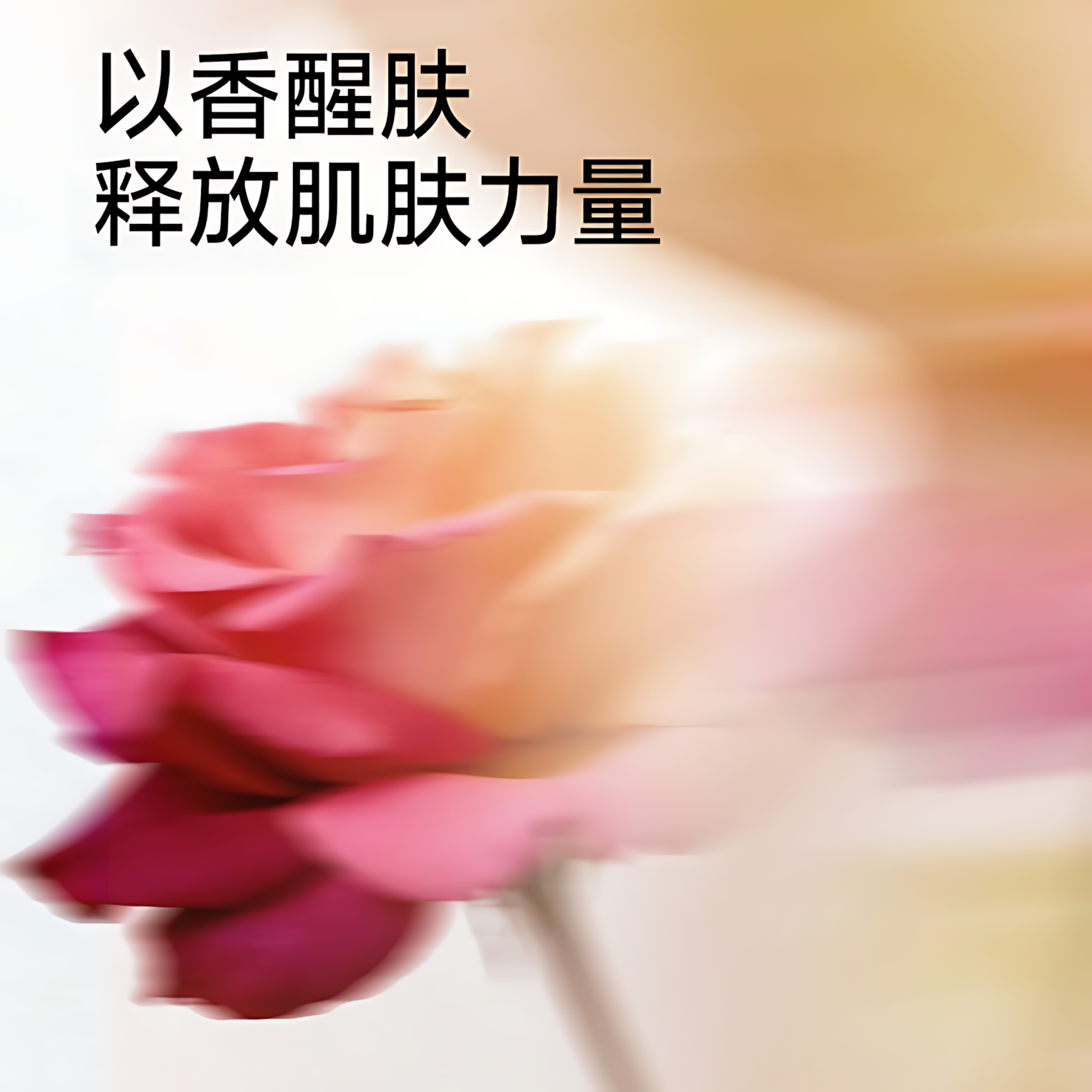 Skin Lane Sculptural Lifting Mask 36ml×5pcs/box 肌侣升塑智妍提拉面膜