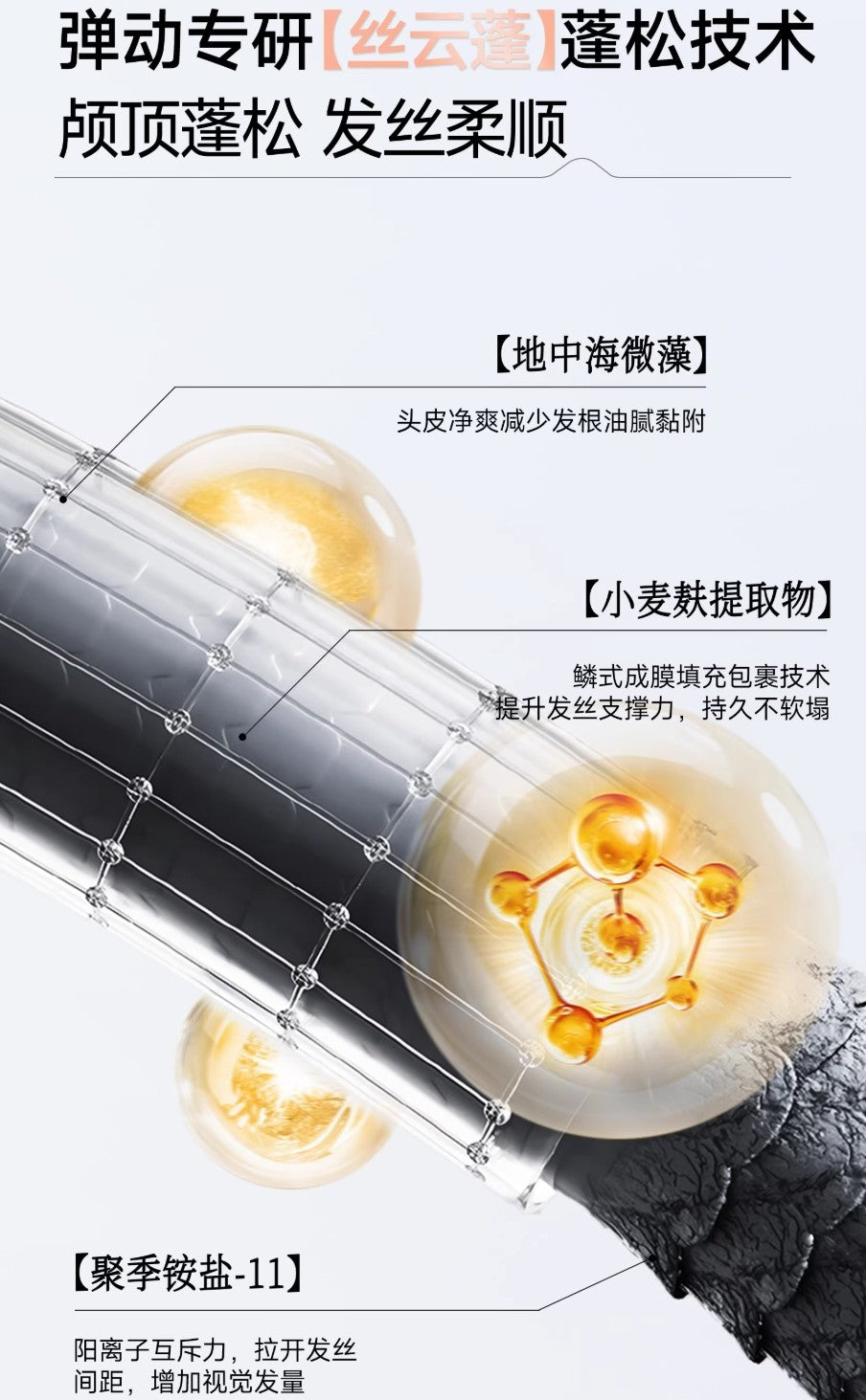 Tiktok/Douyin Hot TELL DO Caviar Hyaluronic Acid Shampoo 300ml/450ml【Tiktok抖音爆款】弹动鱼子酱玻尿酸洗发露